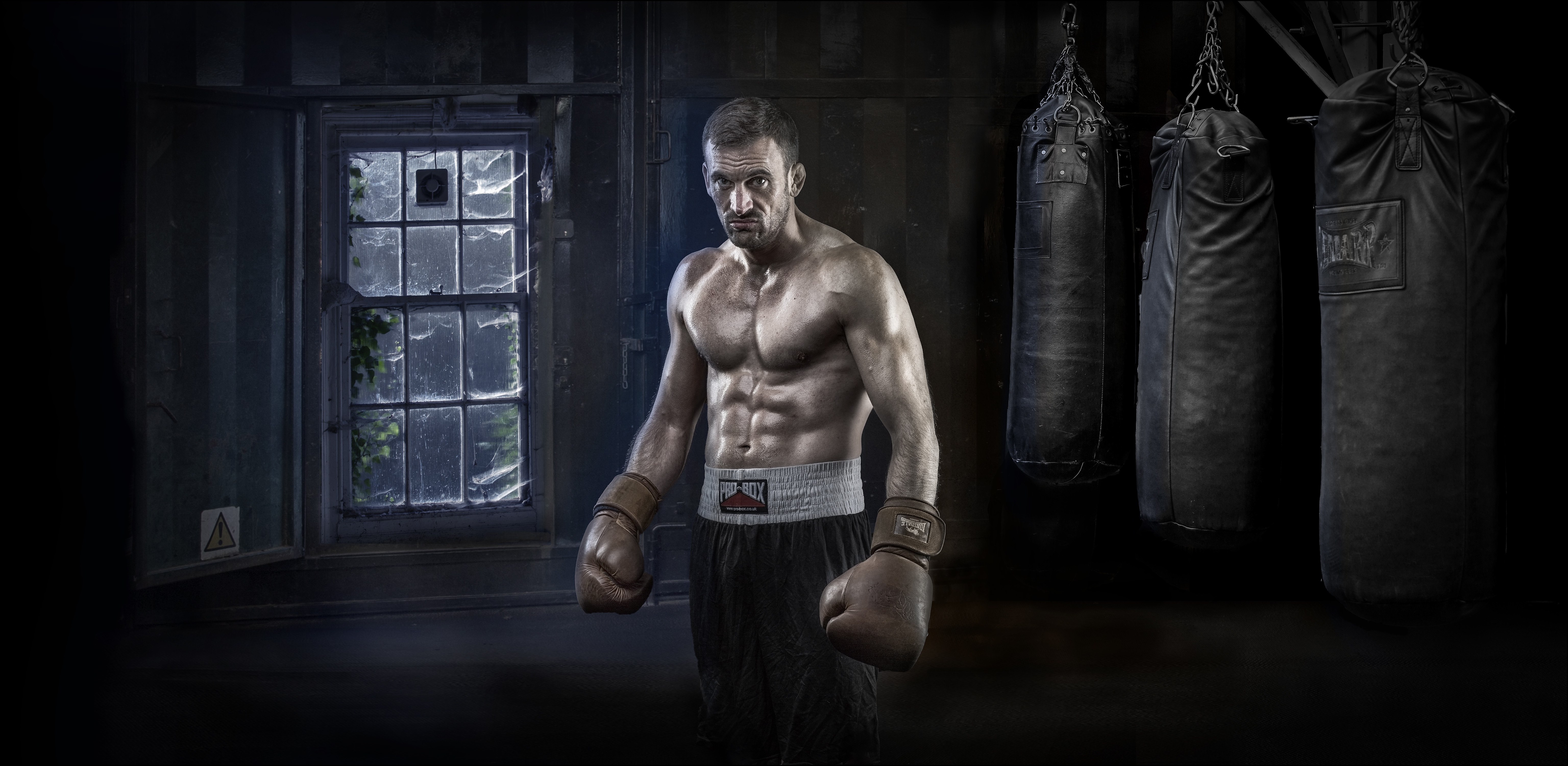 Boxer Boxing Man Muscle 6144x3004