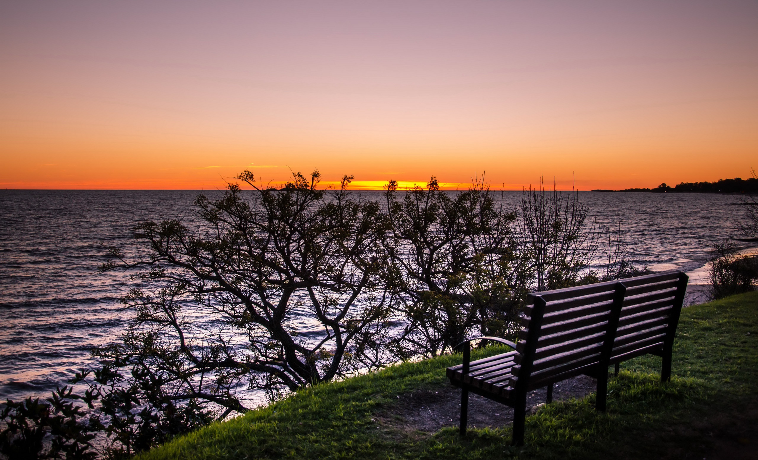 Bench Nature Ocean Sunset 2560x1555