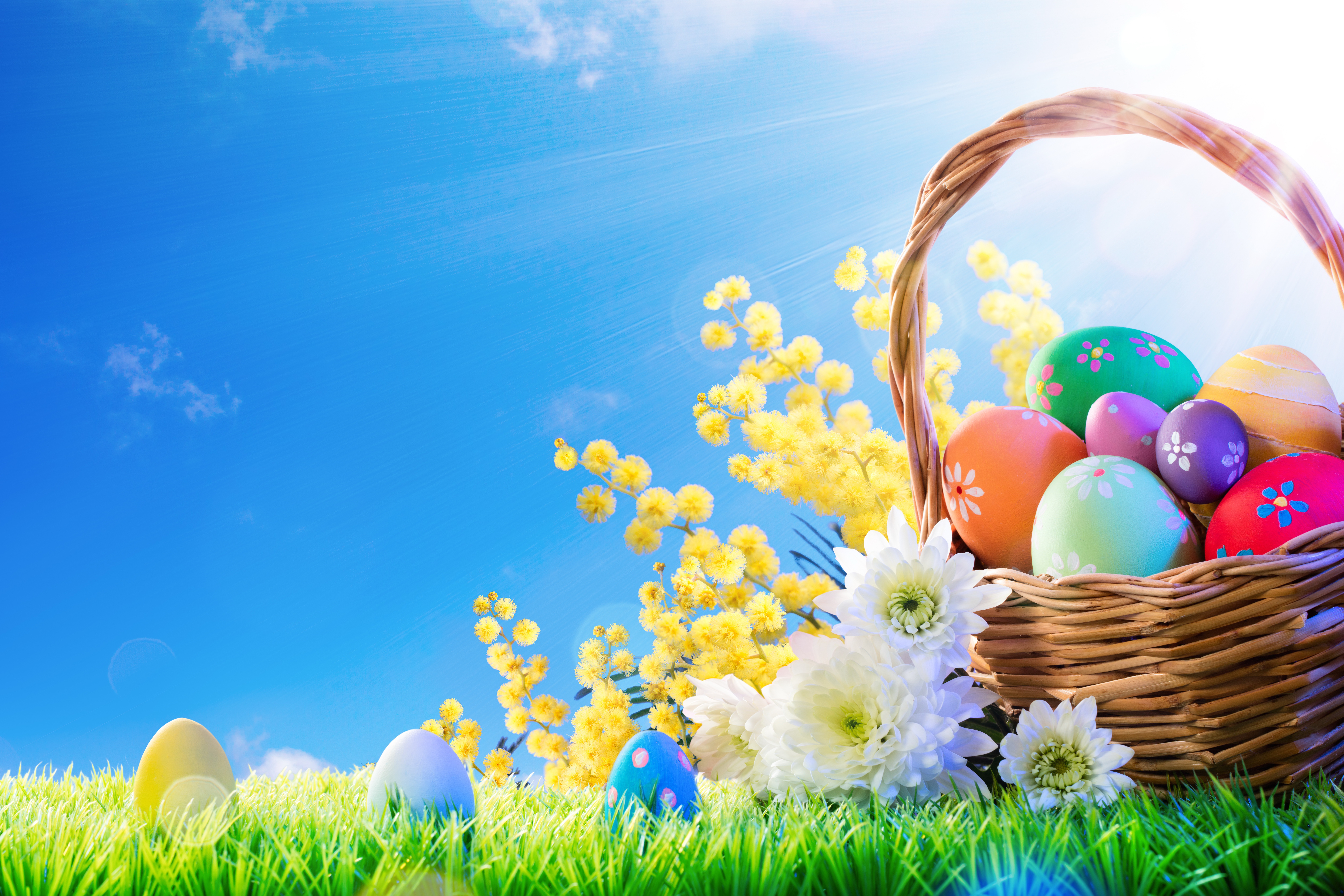 Basket Easter Easter Egg Flower 8230x5487