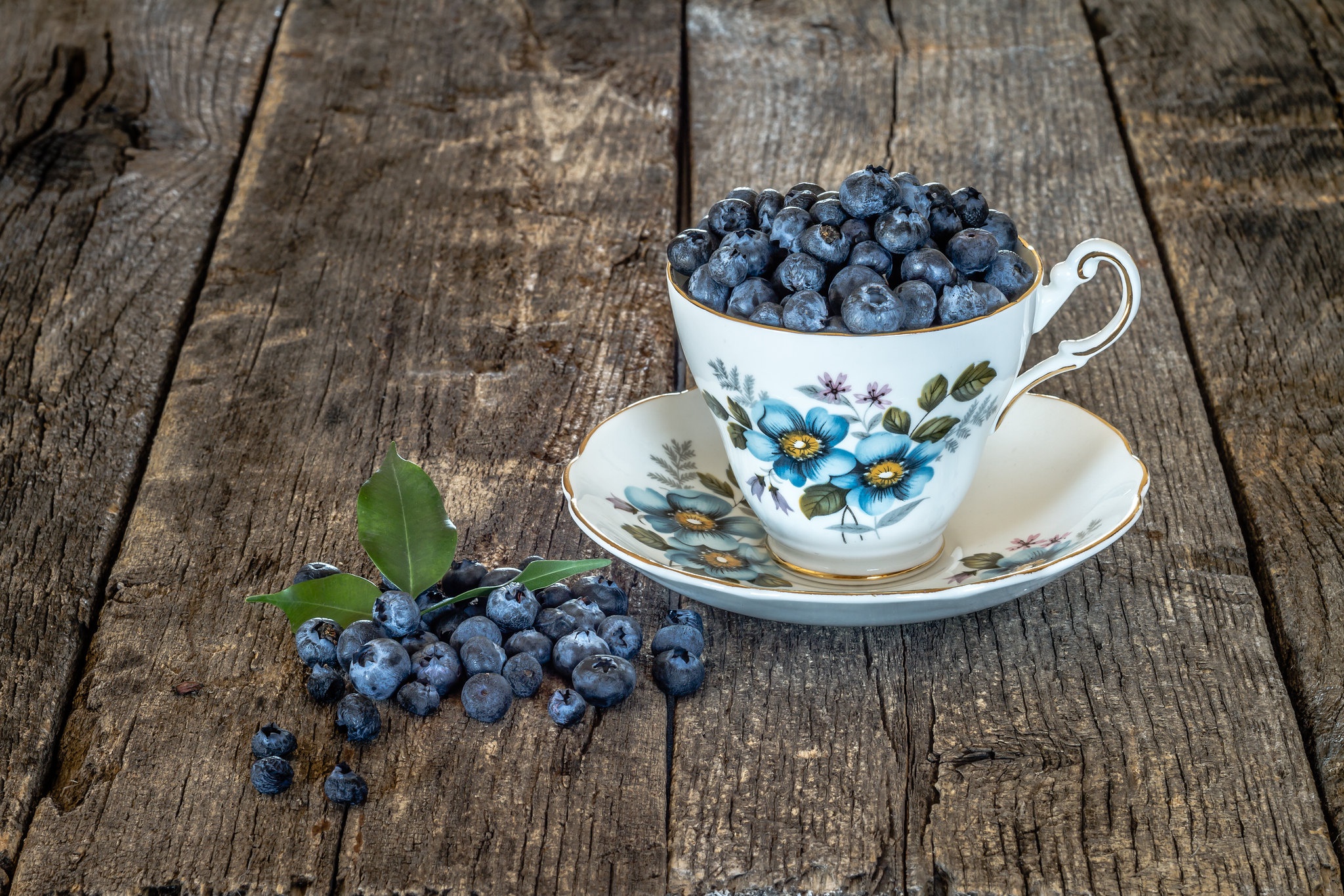 Berry Blueberry Cup Still Life 2048x1365