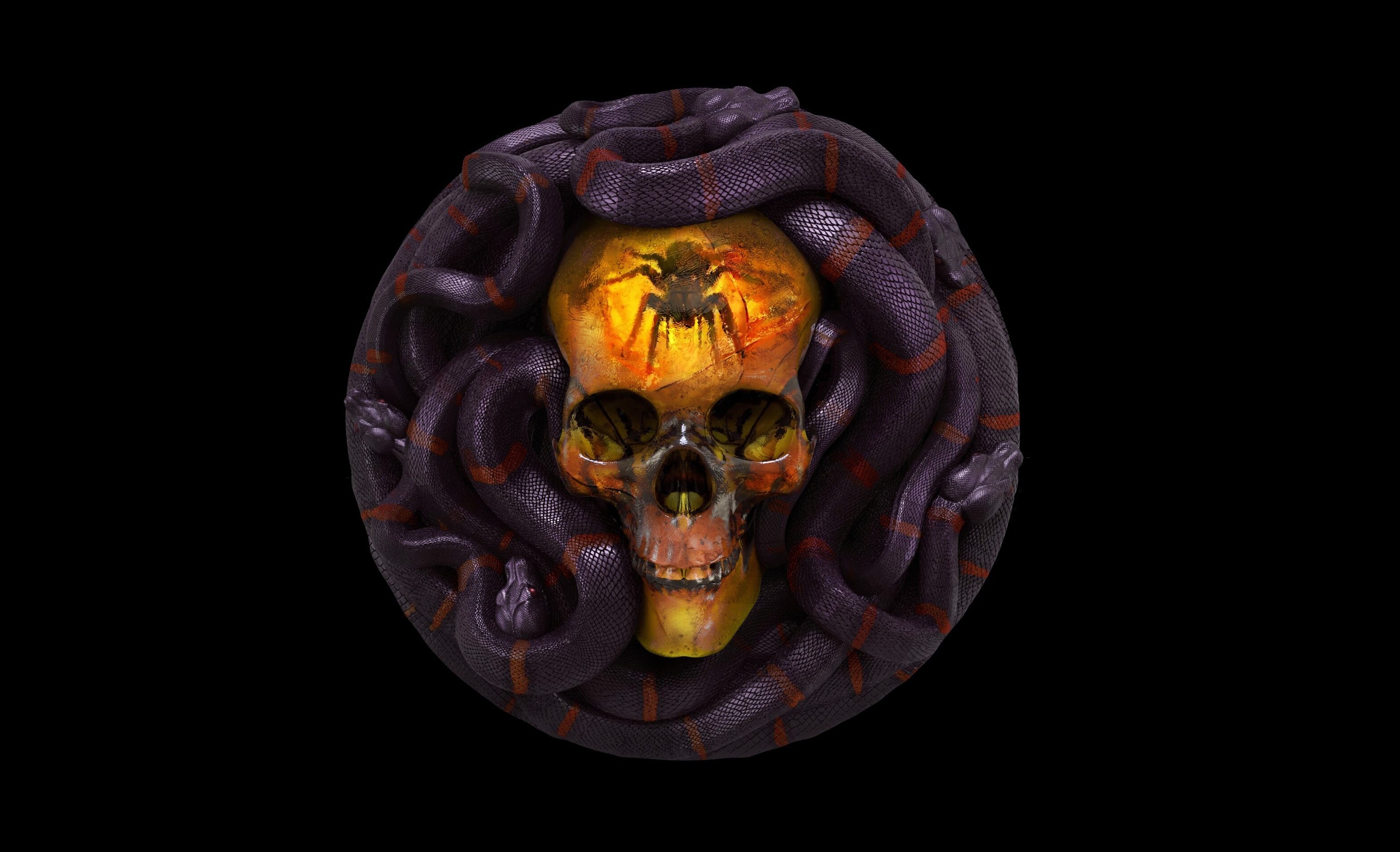 Artistic Skull Snake Spider 3128x1904