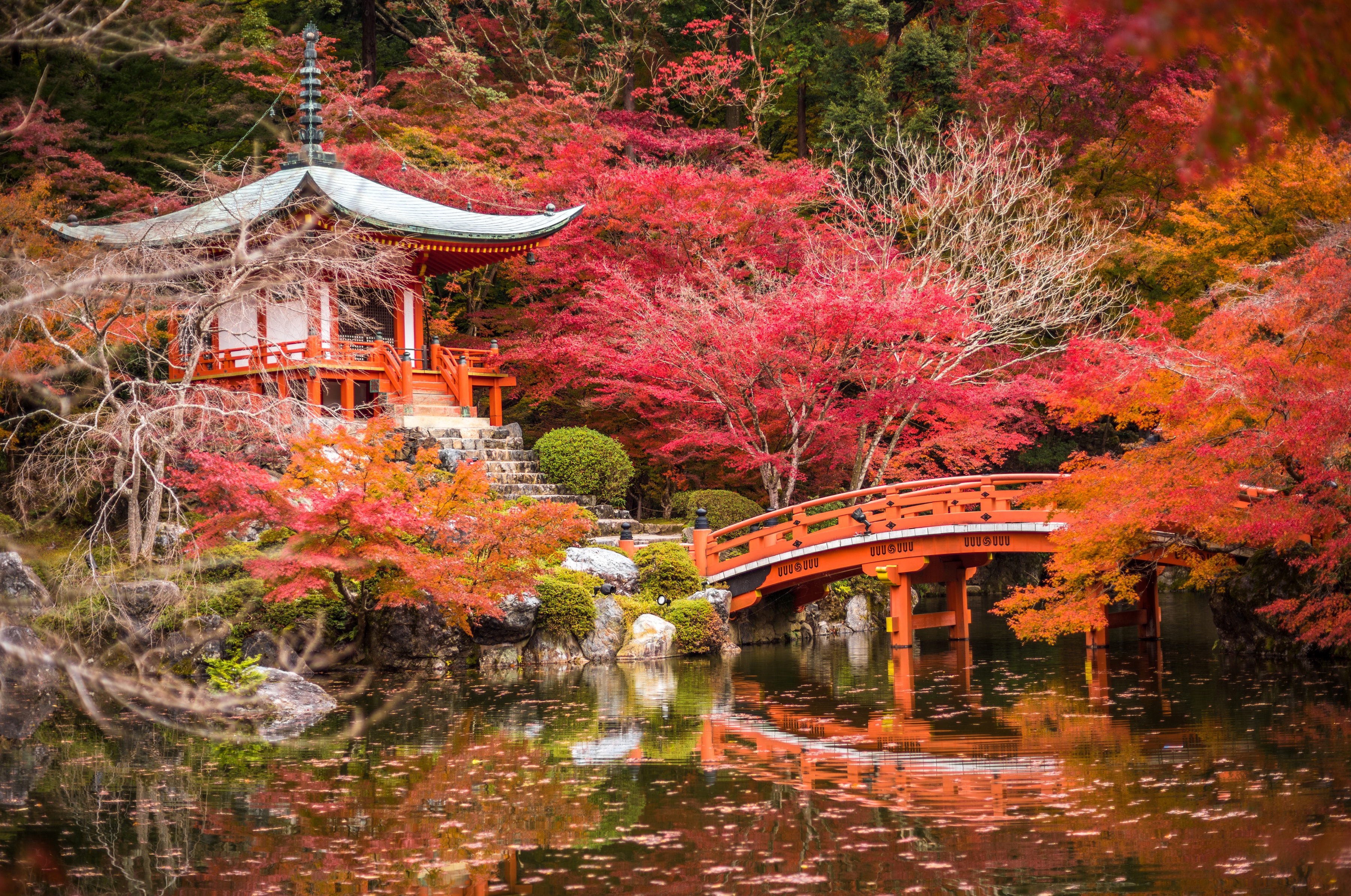 Bridge Foliage Japan Japanese Garden Kyoto Nature Pagoda Park Pond Shrine Tree 3600x2388