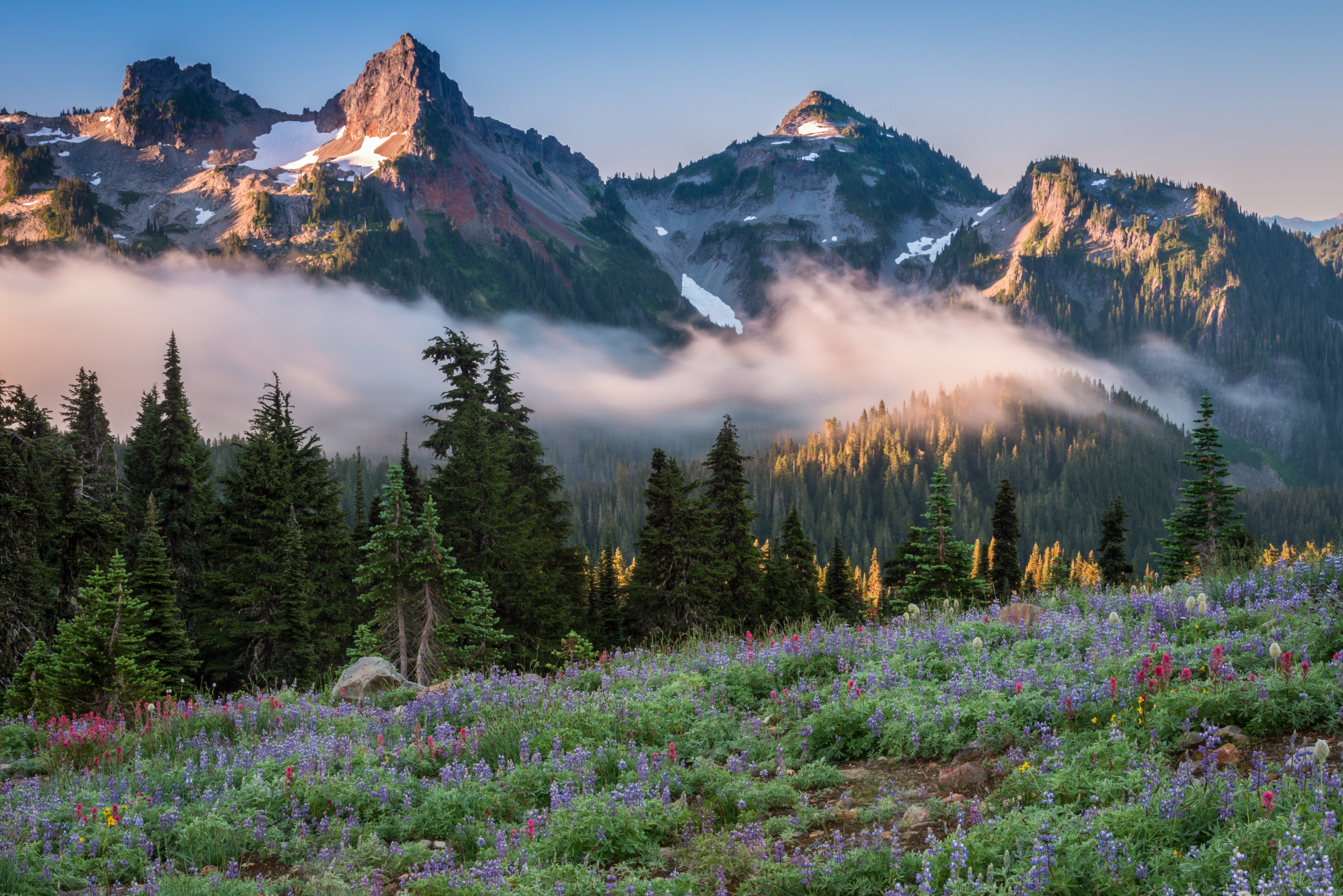 Fog Forest Lake Landscape Meadow Mountain National Park 6743x4500