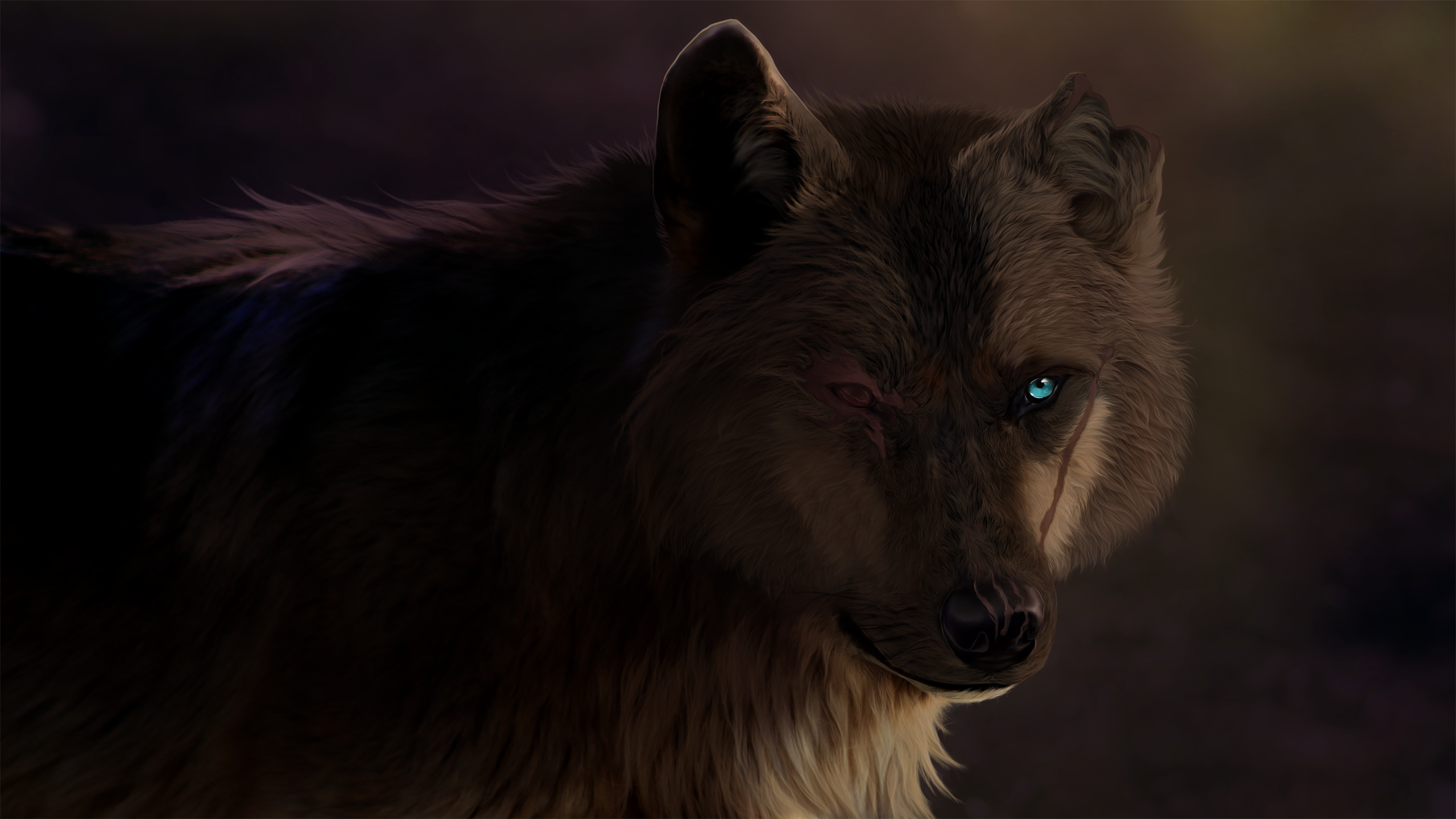 Scar Wolf Predator Animal 2560x1440