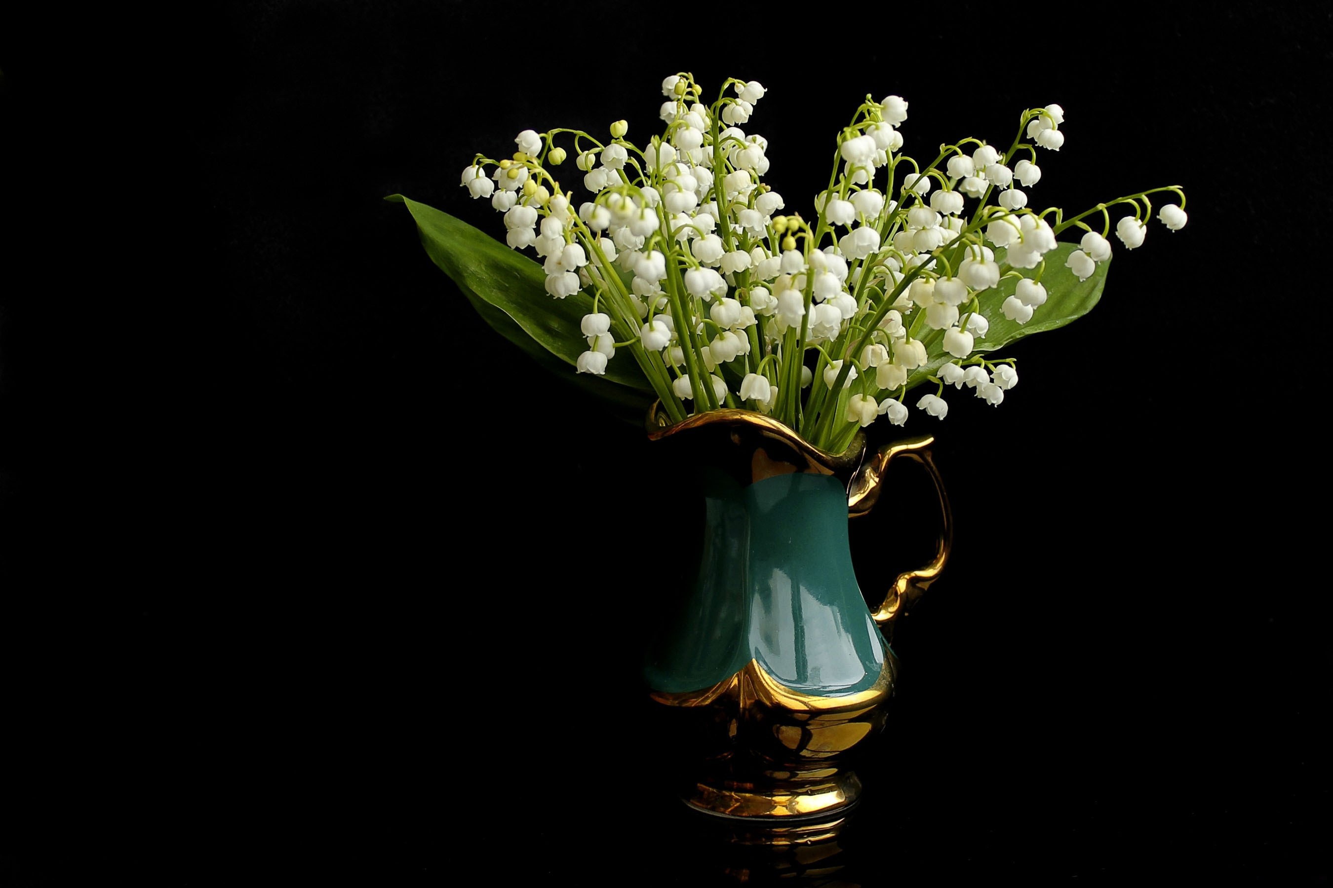 Flower Lily Of The Valley Pitcher White Flower 2700x1800
