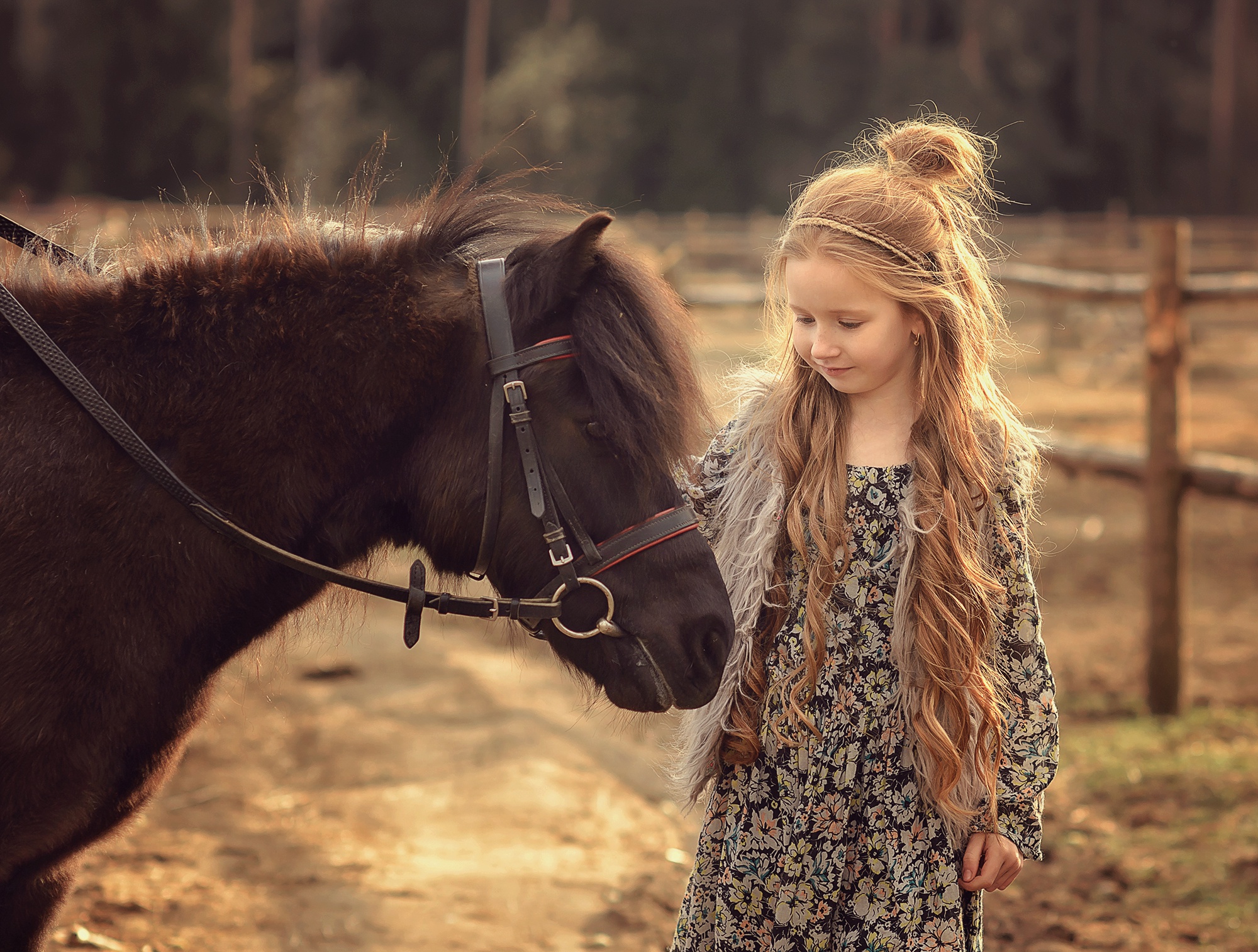 Animal Blonde Child Girl Long Hair Pony 2000x1514