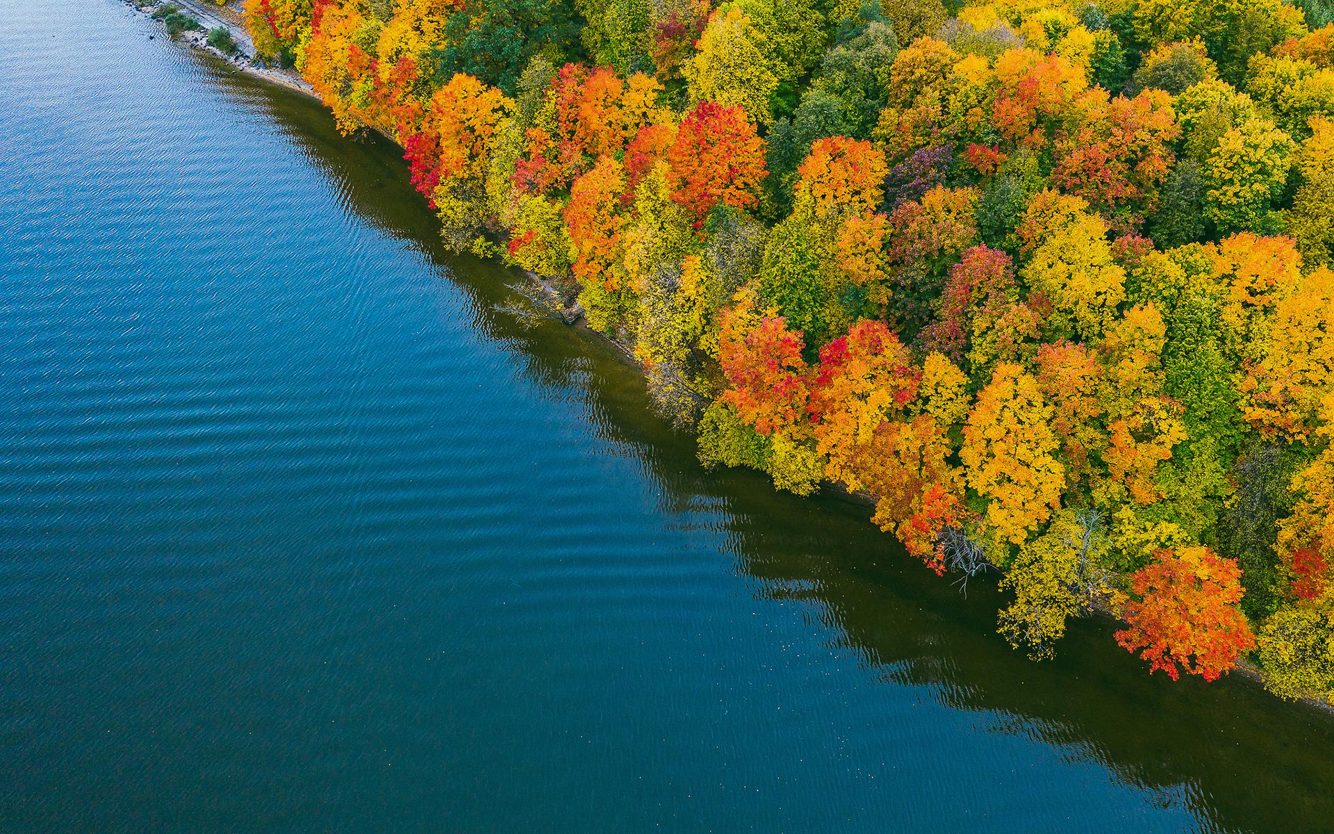 Aerial Fall Forest Lake 1920x1200