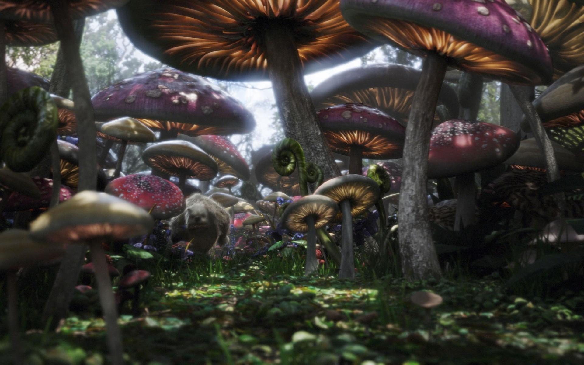 Alice In Wonderland 2010 Colorful Fantasy Forest Magic Movie Mushroom 1920x1200