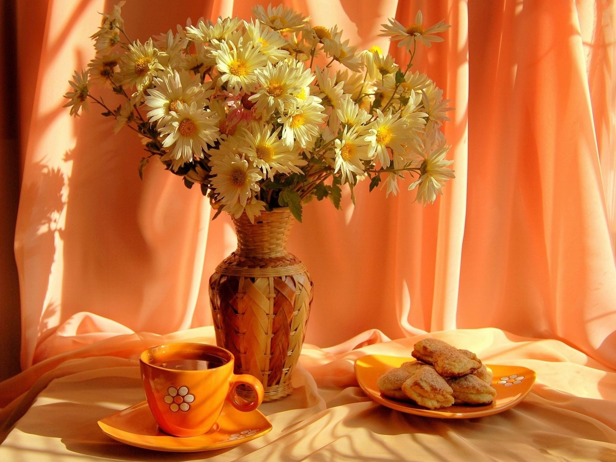 Cookie Cup Daisy Flower Plate Still Life Vase 2048x1536