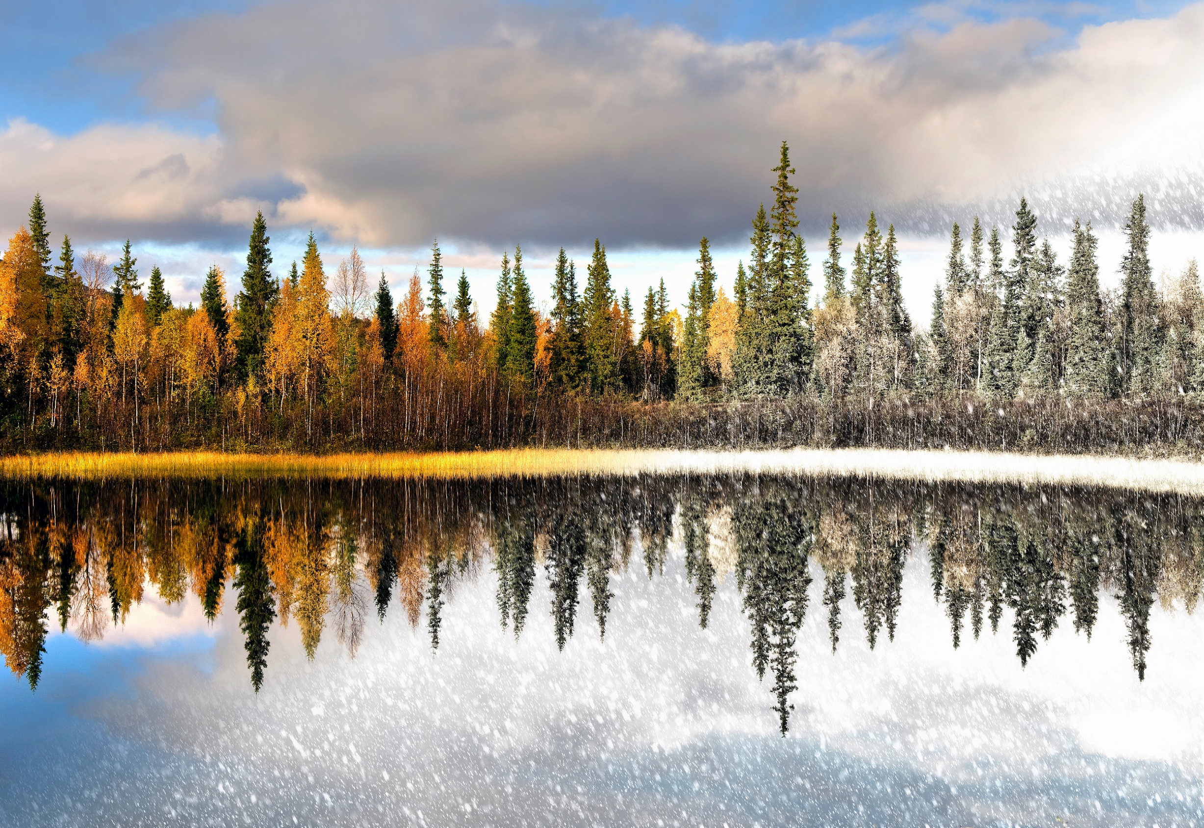 Artistic Fall Lake Reflection Season Snowfall Tree Winter 2455x1689