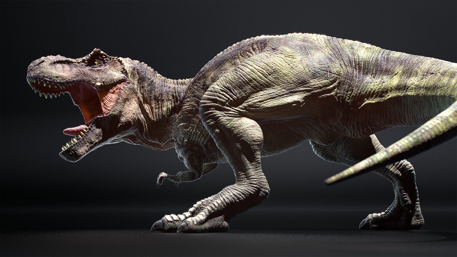 Dinosaur Tyrannosaurus Rex 1920x1080