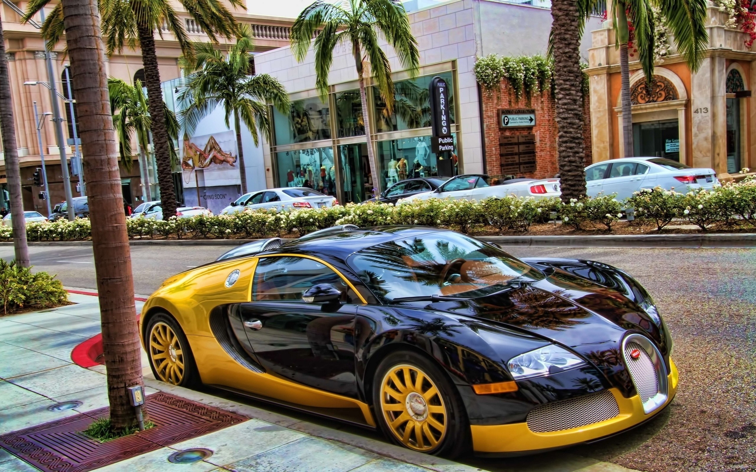 Vehicles Bugatti 2560x1600