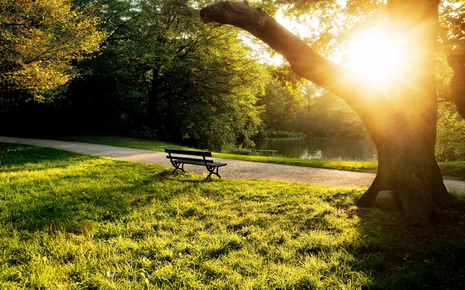 Man Made Bench 1920x1200