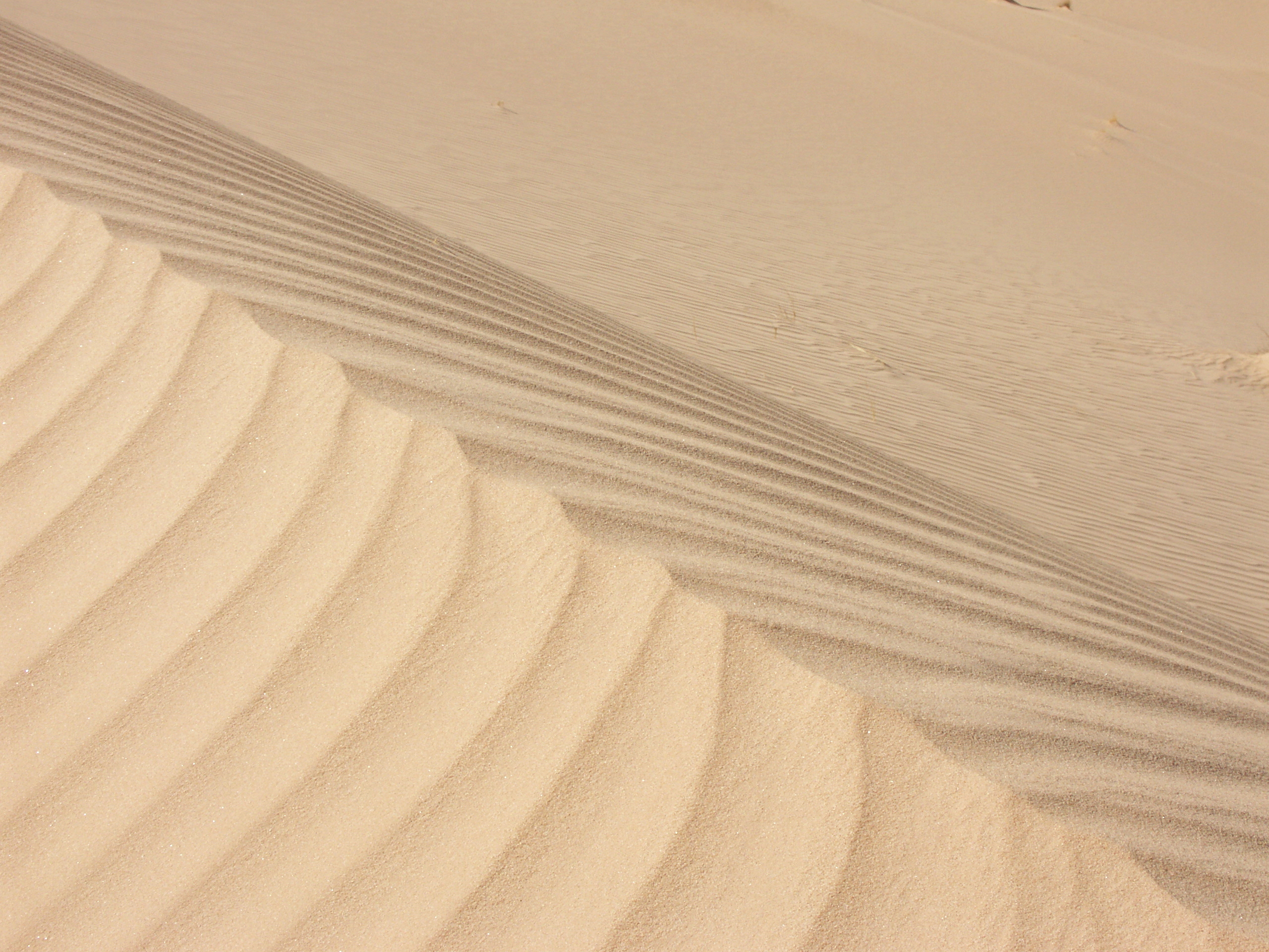 Africa Algeria Dune Sahara Sand 2560x1920