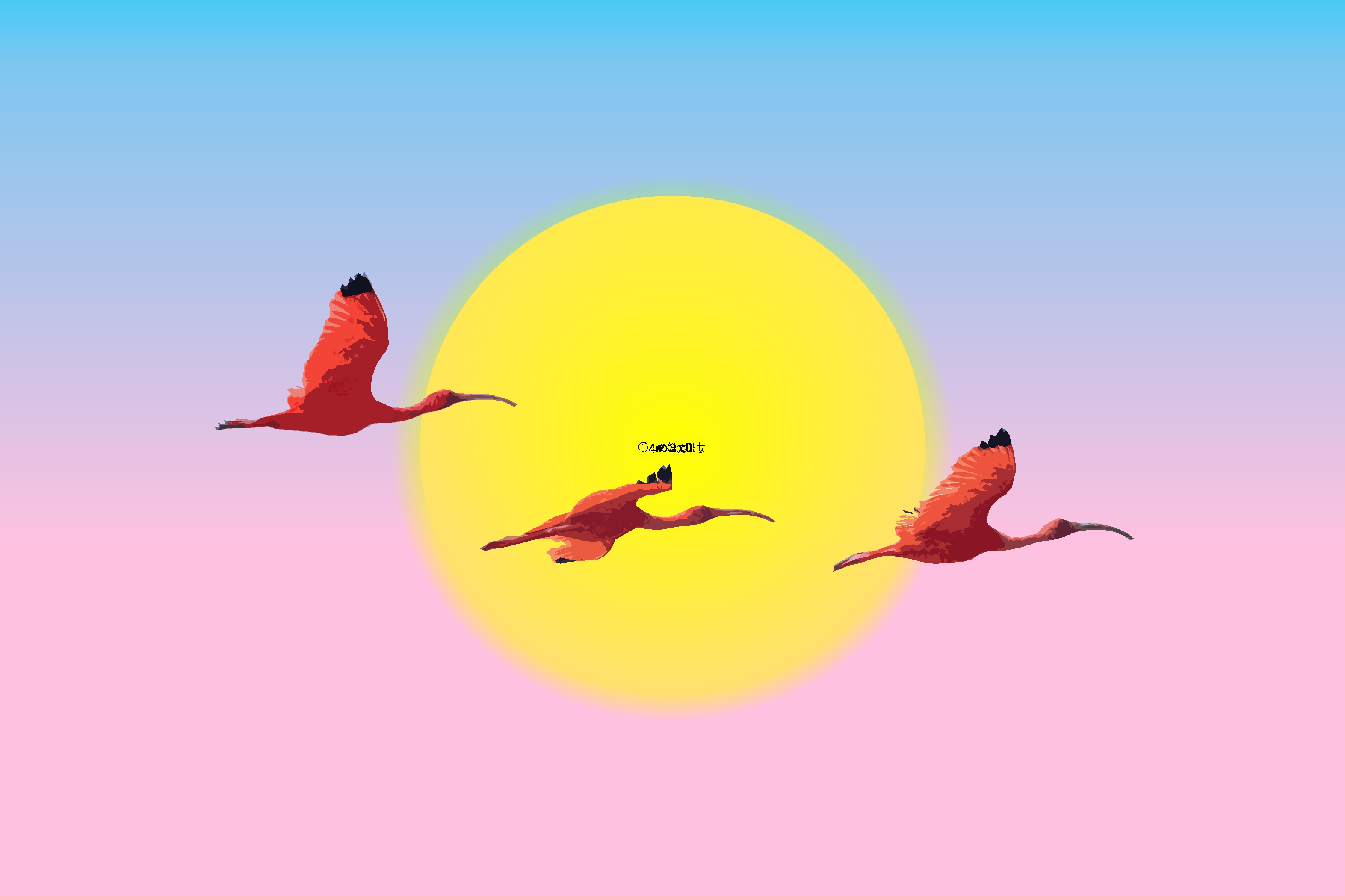 Artistic Bird Colorful Flamingo Minimalist Simple Sky Sun 3145x2096