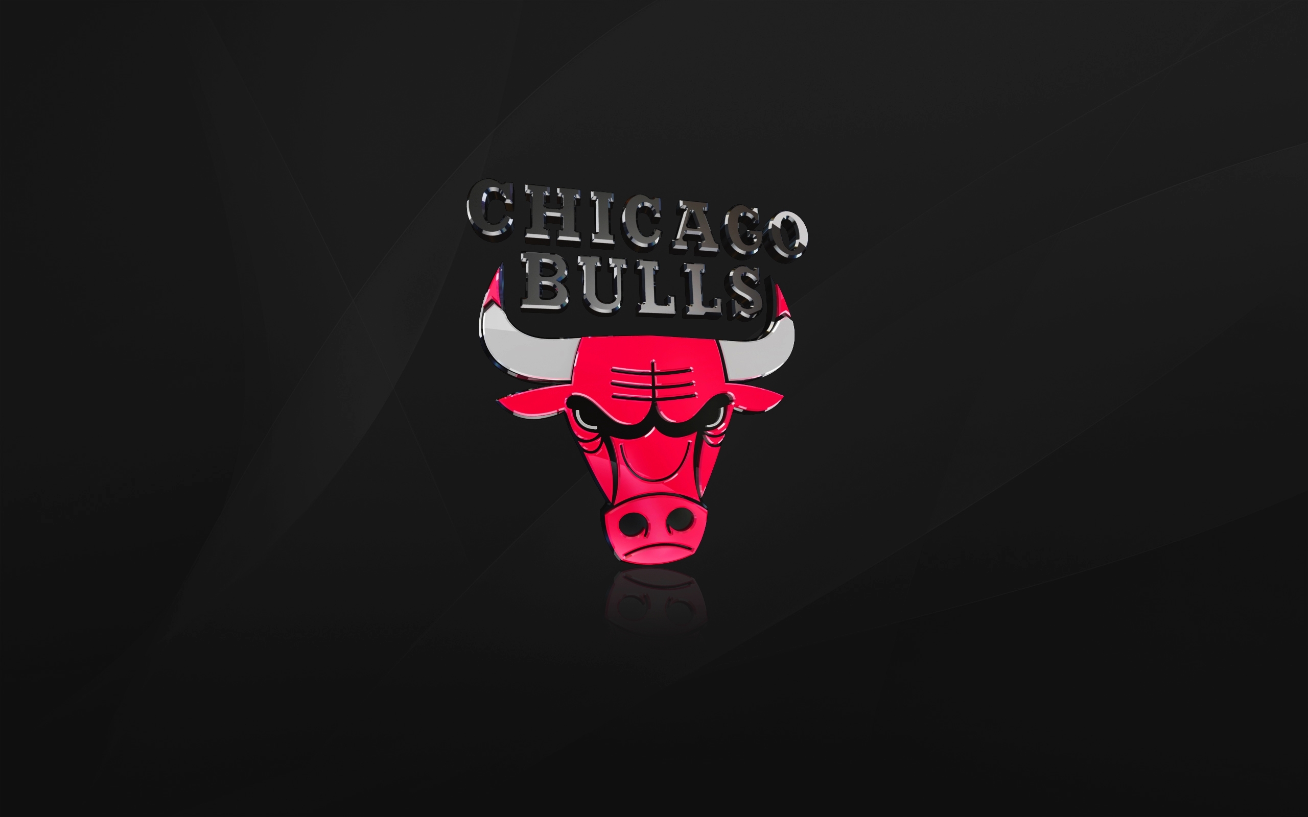 Basketball Chicago Bulls Logo Nba Sport 2560x1600