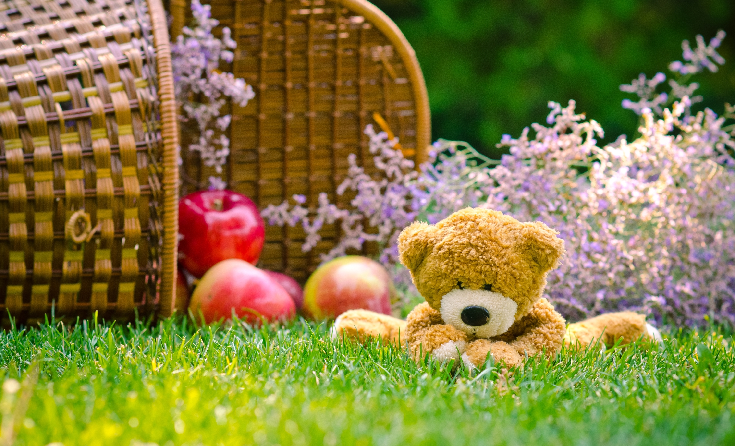 Apple Basket Grass Stuffed Animal Teddy Bear 3000x1821