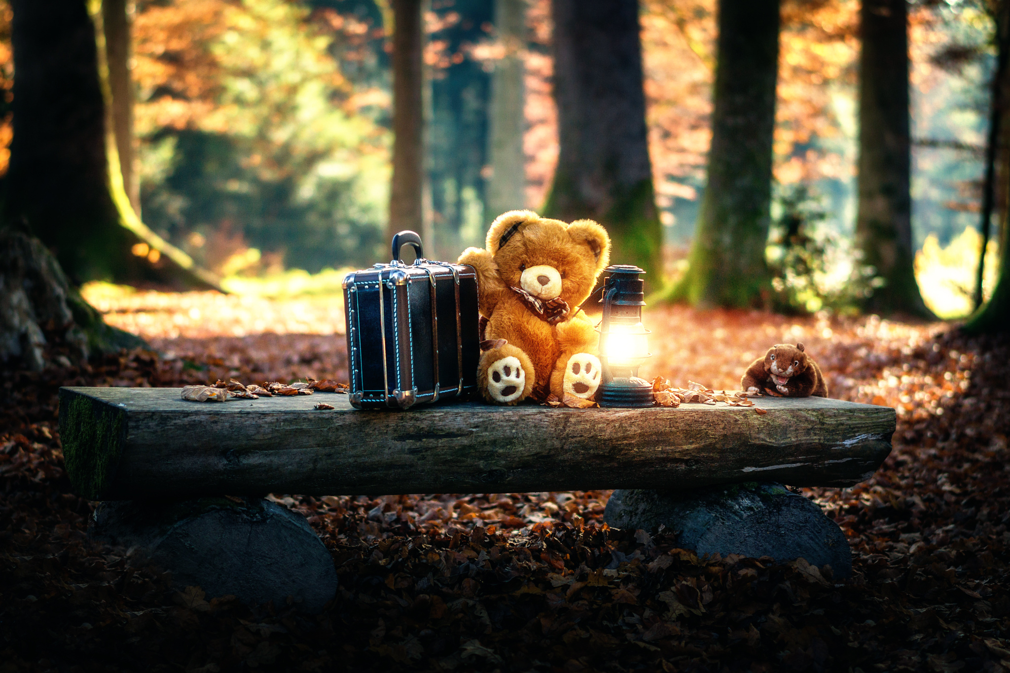 Bench Lantern Stuffed Animal Suitcase Teddy Bear 2048x1365