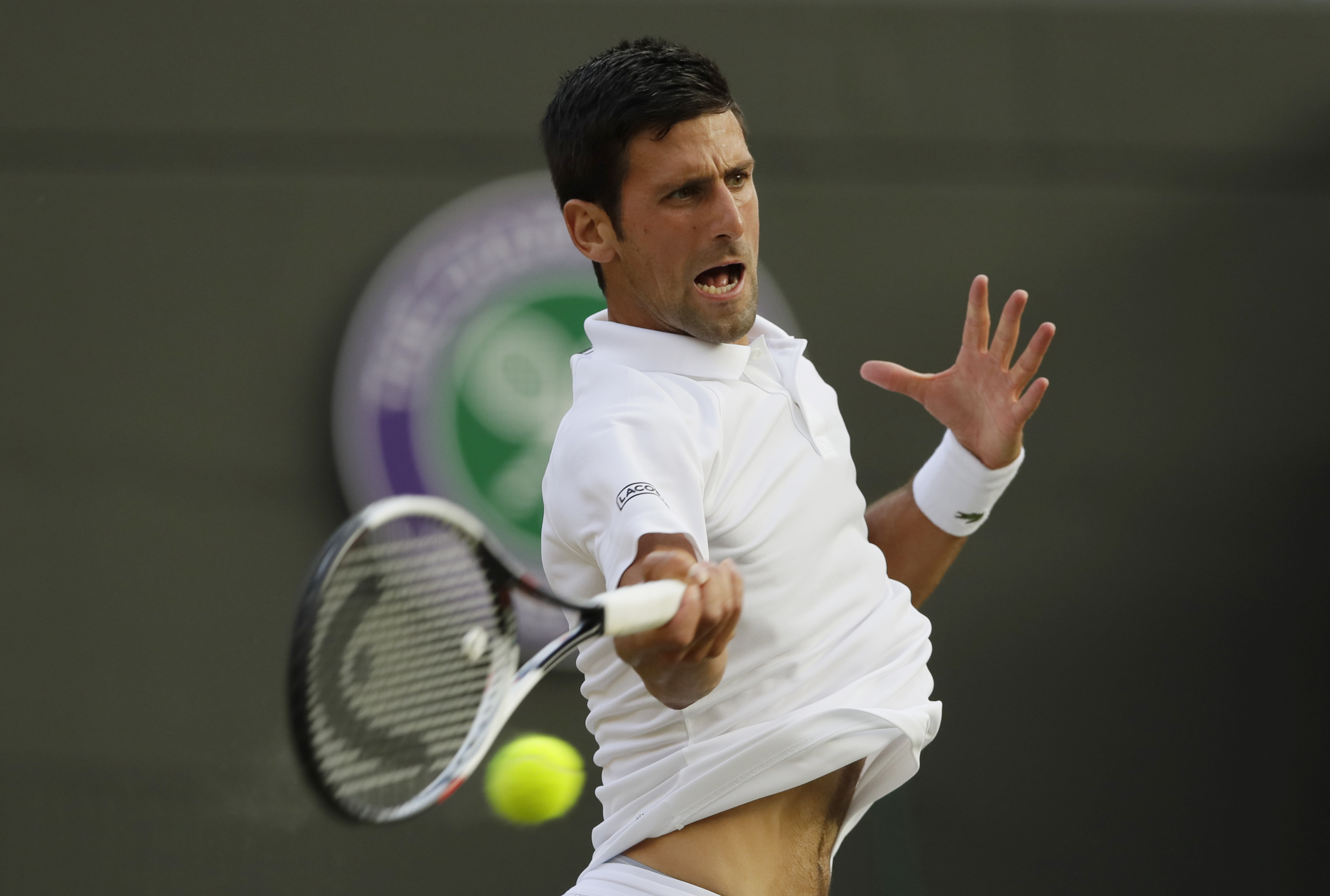 Novak Djokovic Serbian Tennis 3851x2595