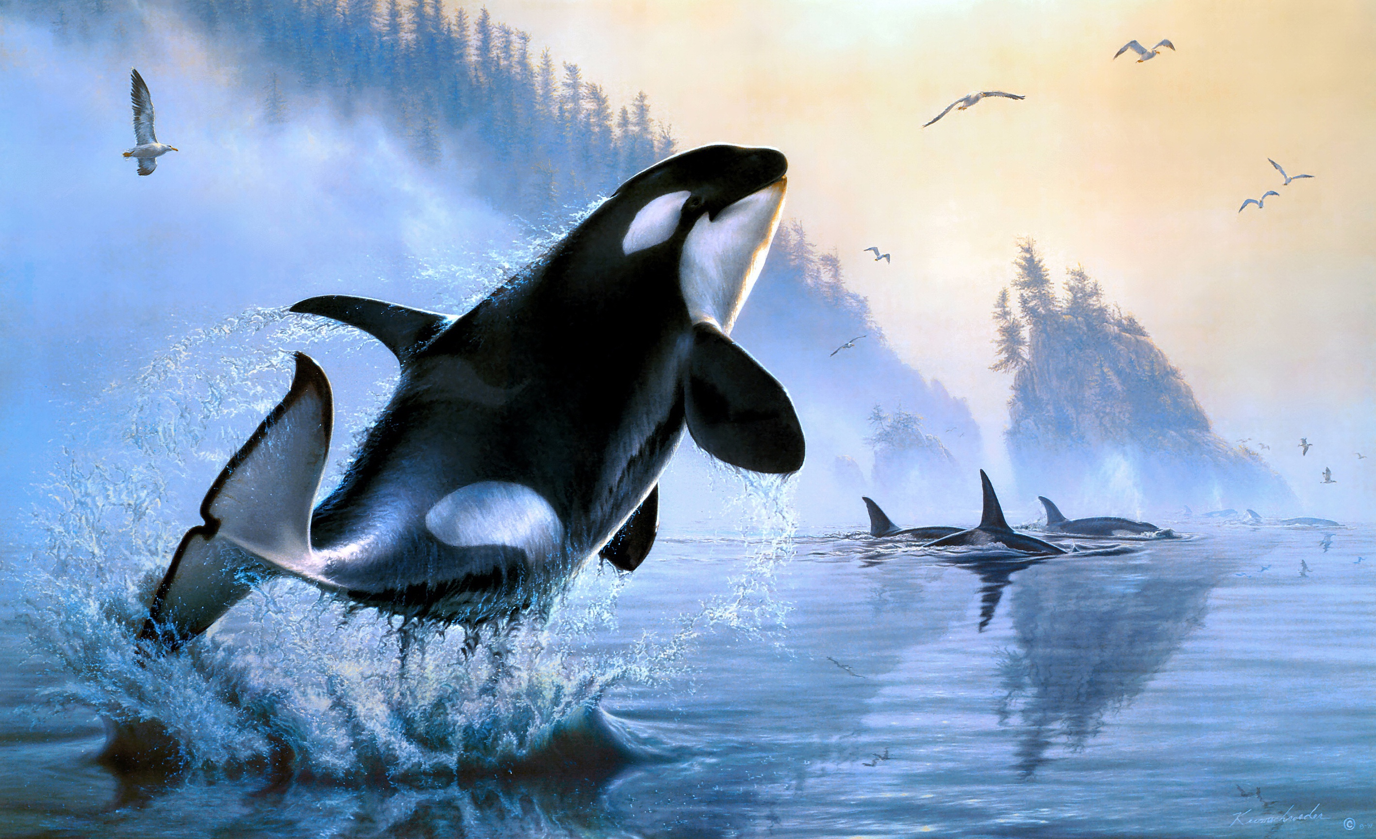 Artistic Orca Painting Sea Life 2835x1730