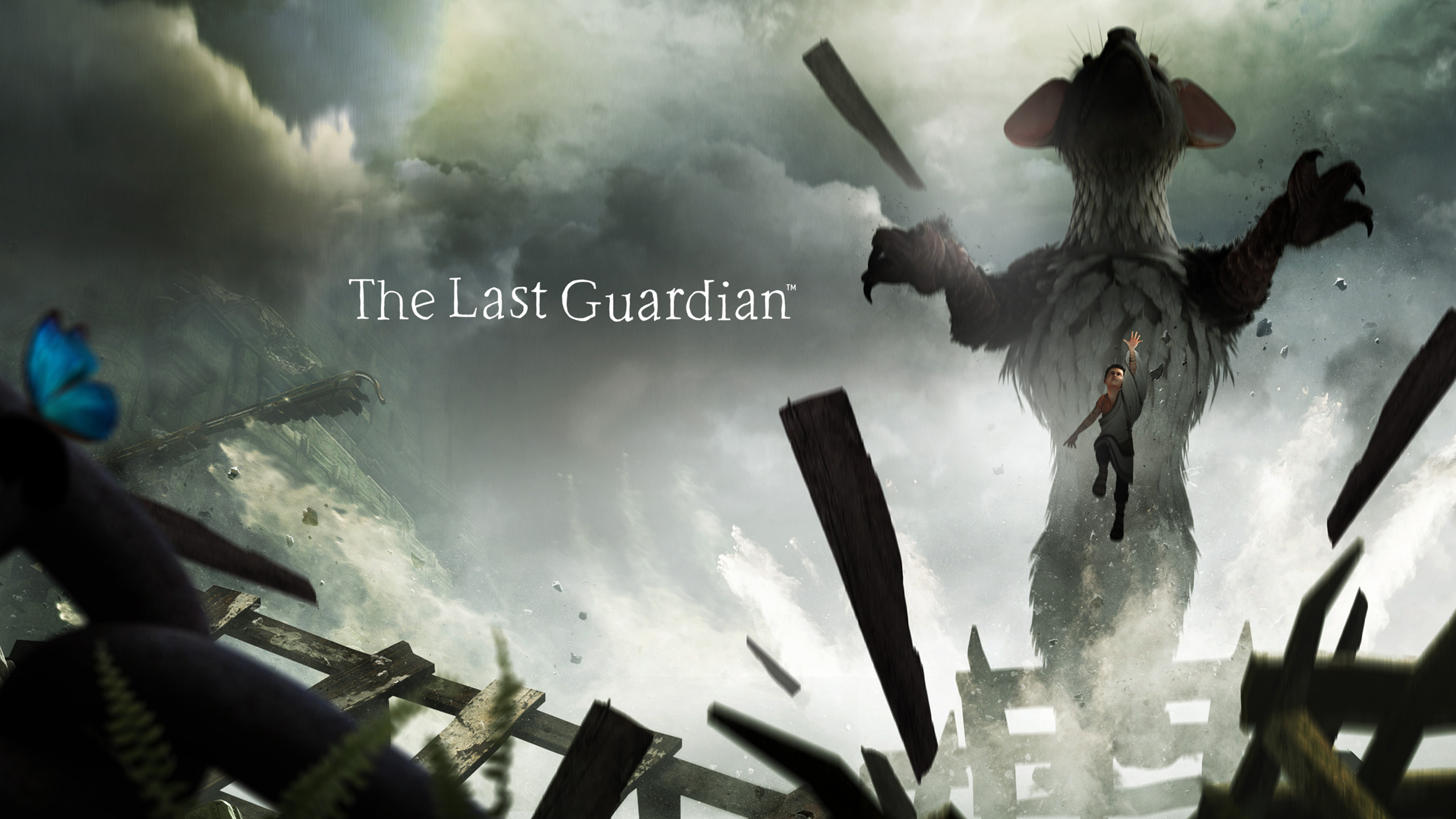 The Last Guardian Trico The Last Guardian 2560x1440