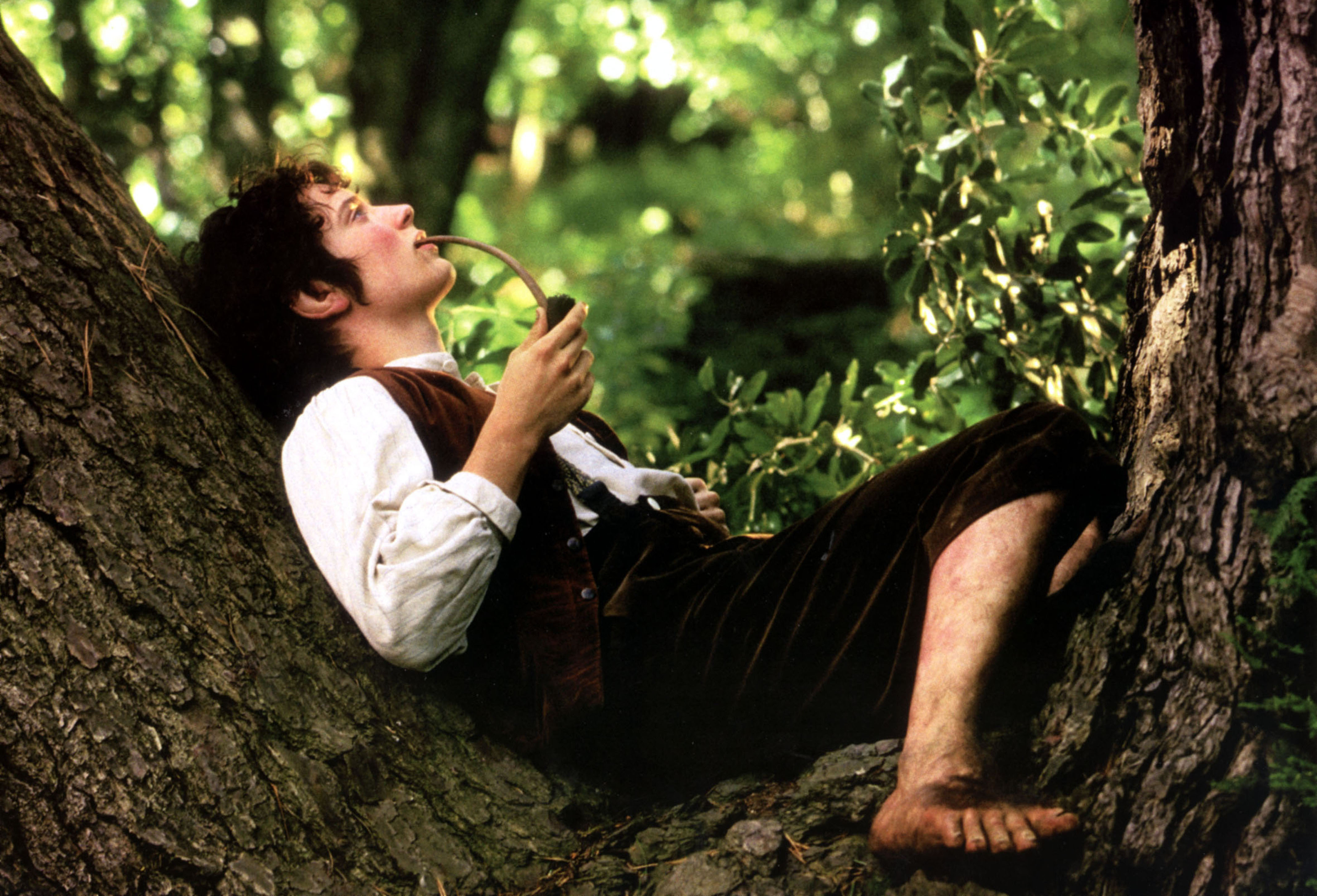 Elijah Wood Frodo Baggins 4267x2904