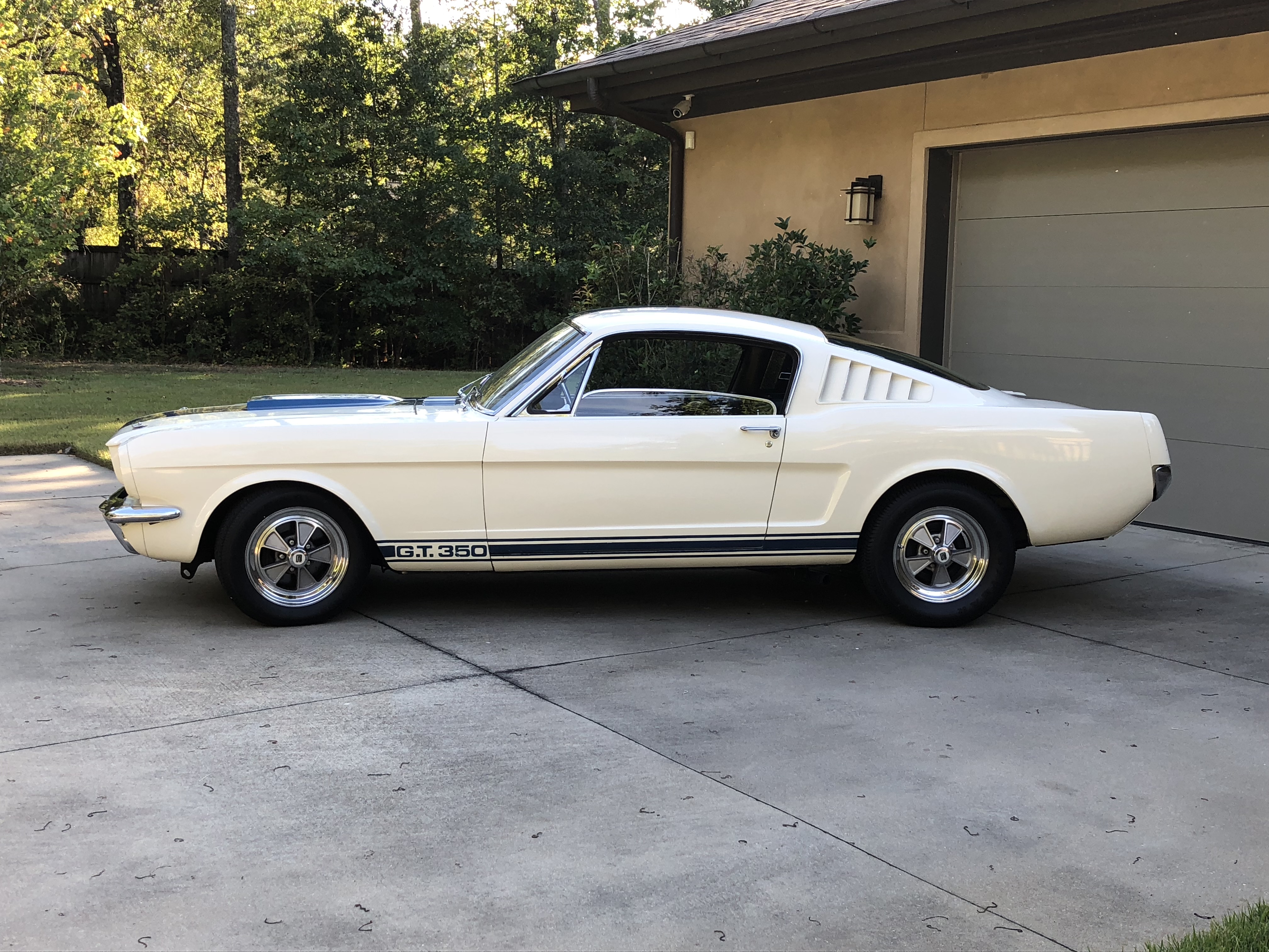 Car Fastback Muscle Car Shelby Mustang Gt350 White Car 4032x3024