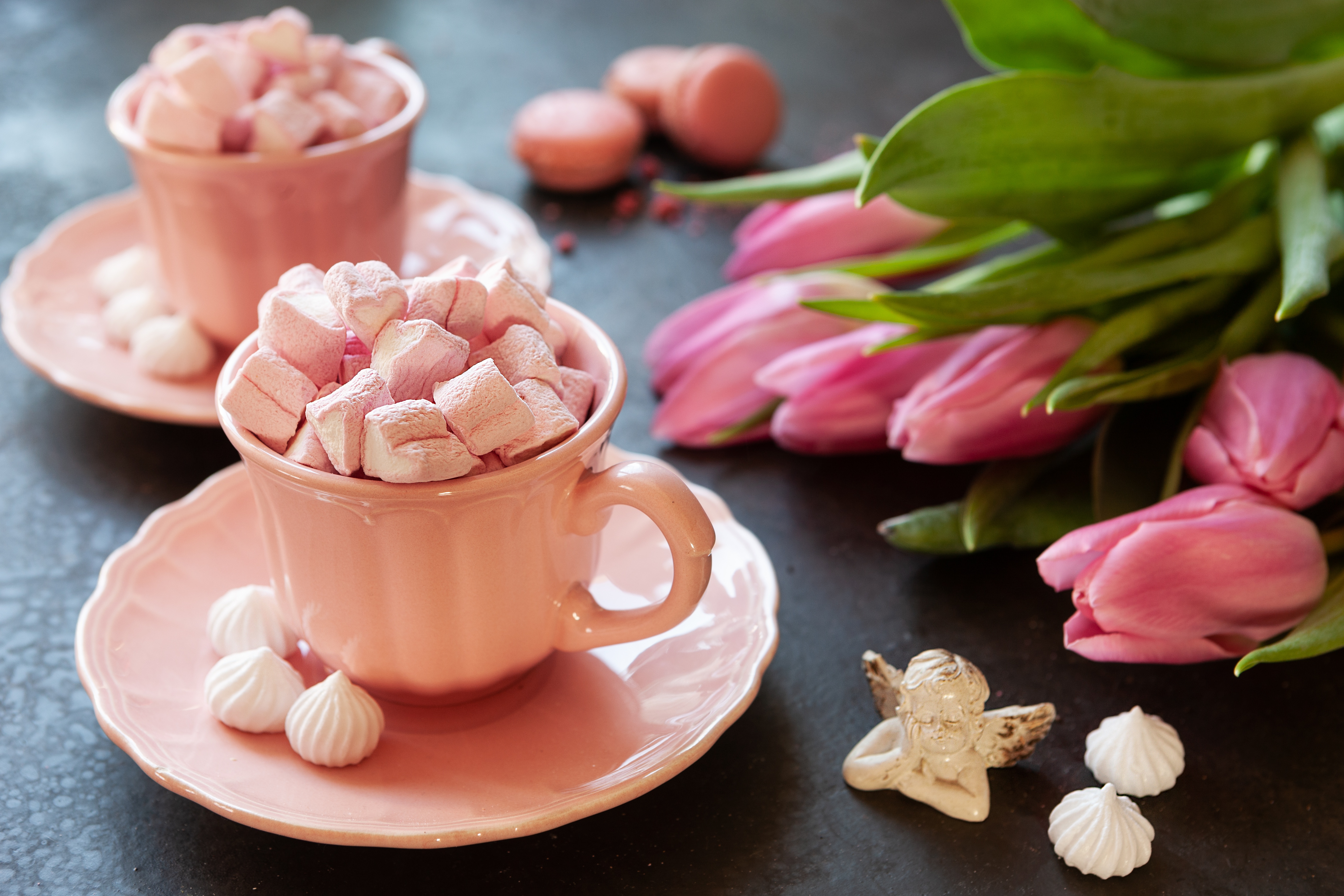 Cup Flower Marshmallow Pink Flower Still Life Tulip 5616x3744