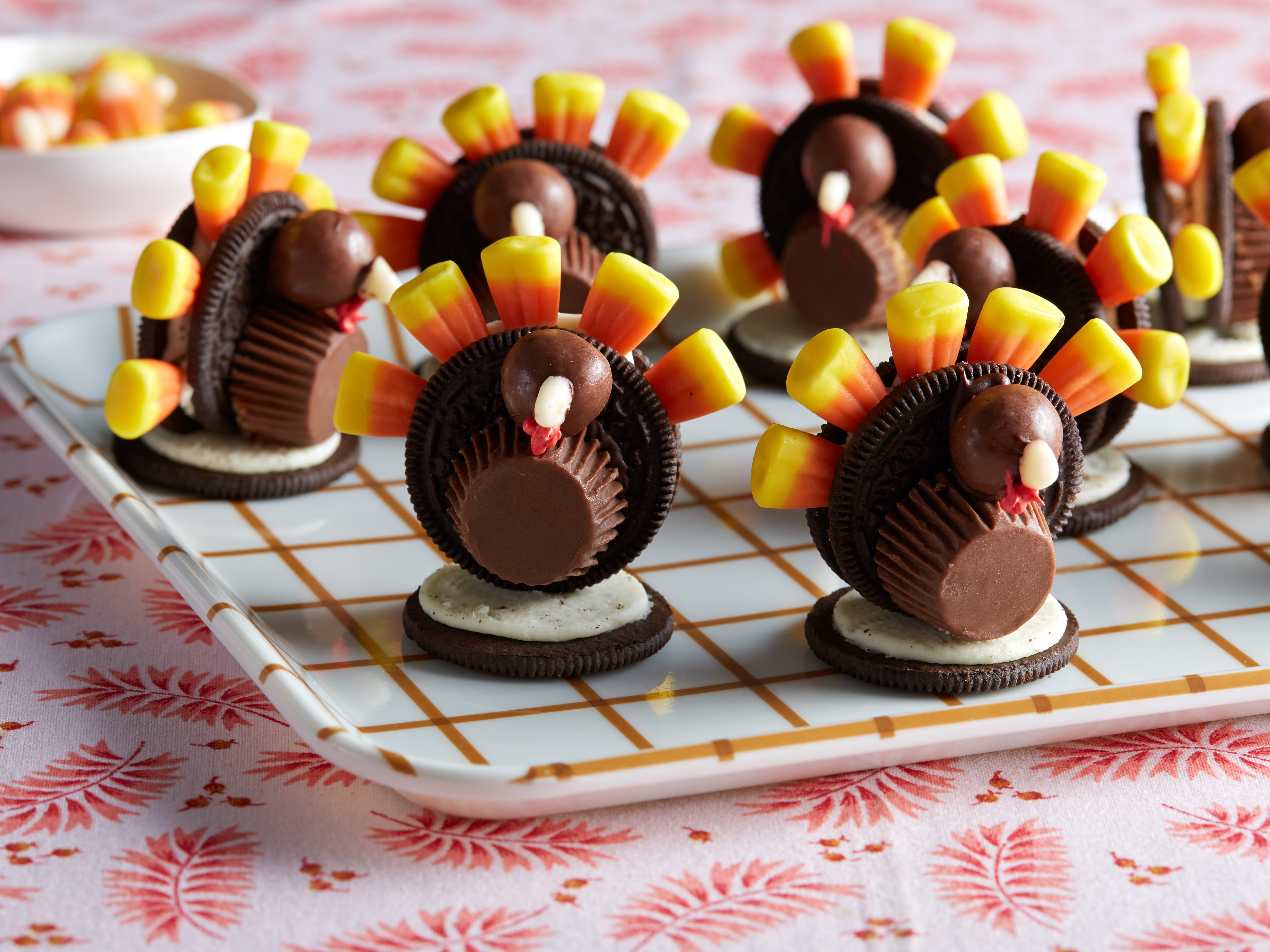 Chocolate Sweets Thanksgiving Turkey 4096x3072