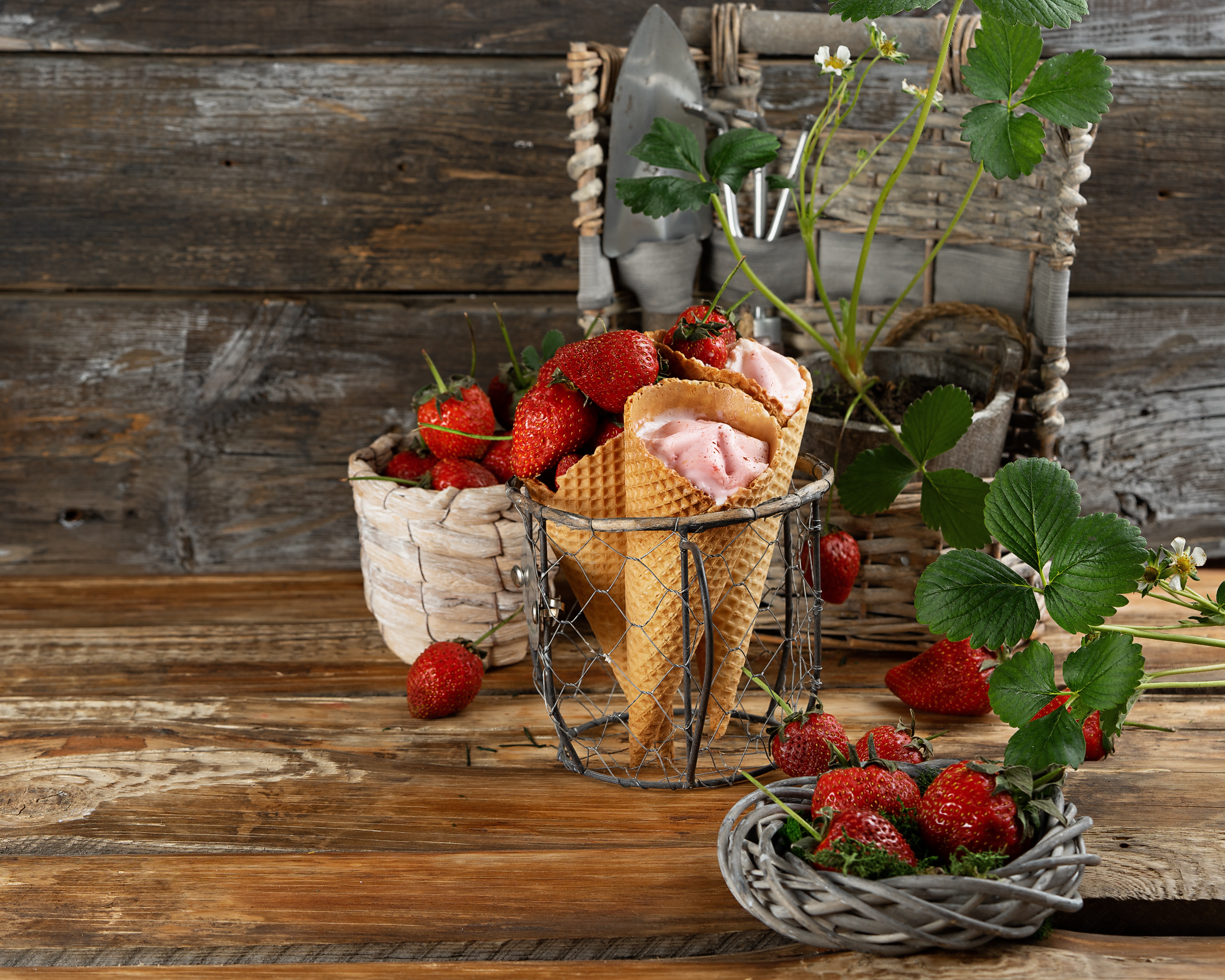 Berry Fruit Ice Cream Still Life Strawberry Waffle Cone 4856x3885