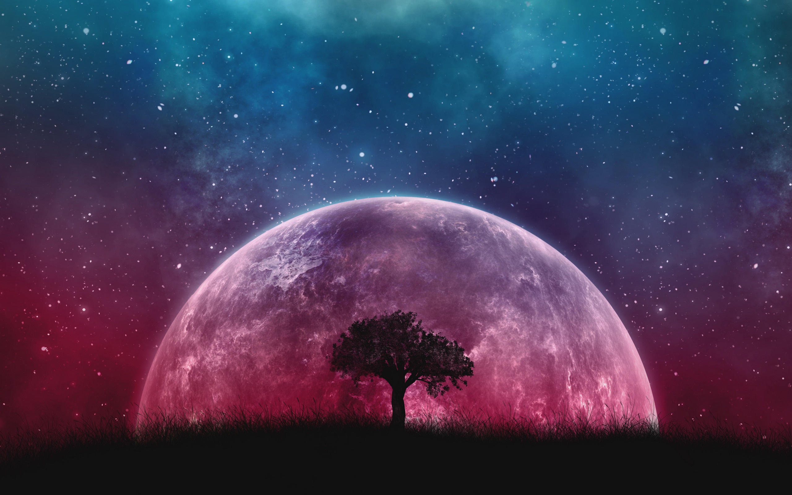 Night Pink Planet Planet Rise Sky Stars Tree 2560x1600