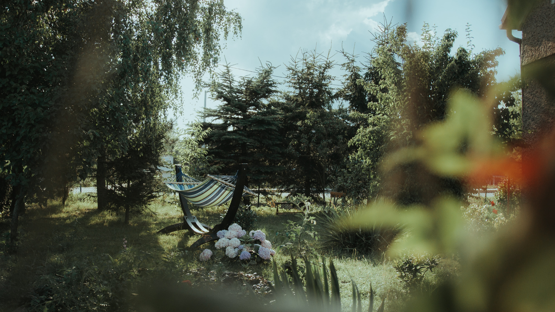 Nature Trees Plants Grass Flowers Clouds Foliage Rest Poland 1920x1080