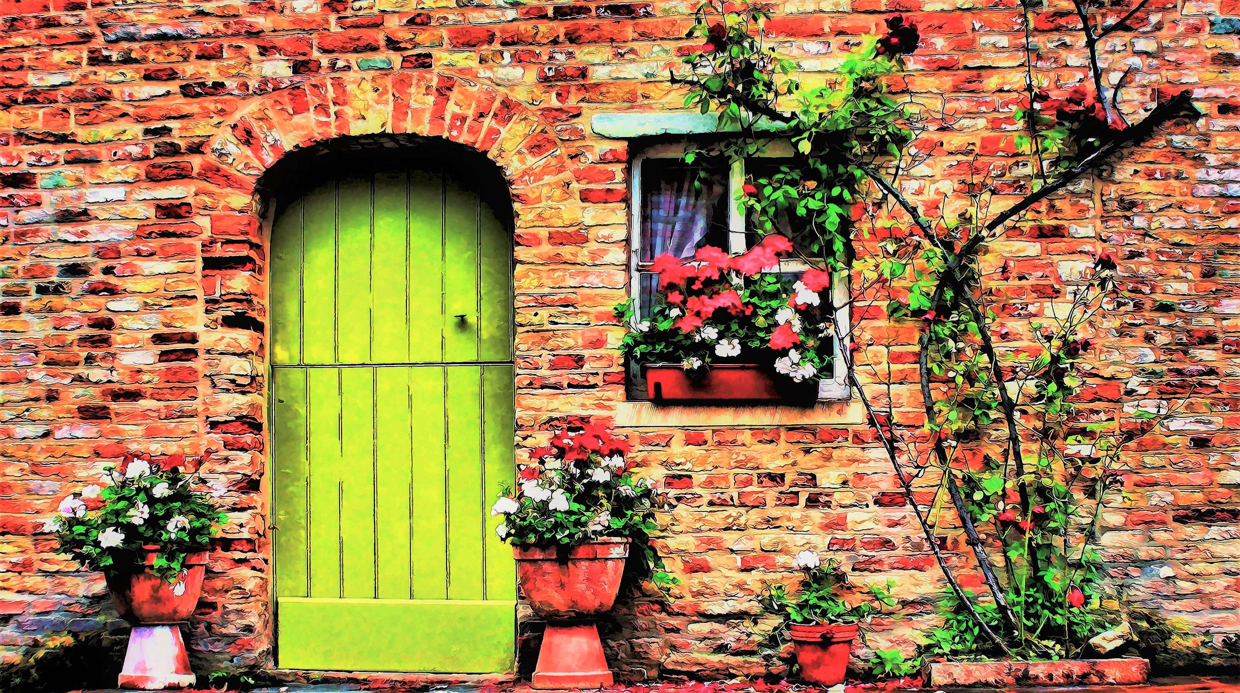 Brick Colorful Colors Door House Plant Tree 4000x2236