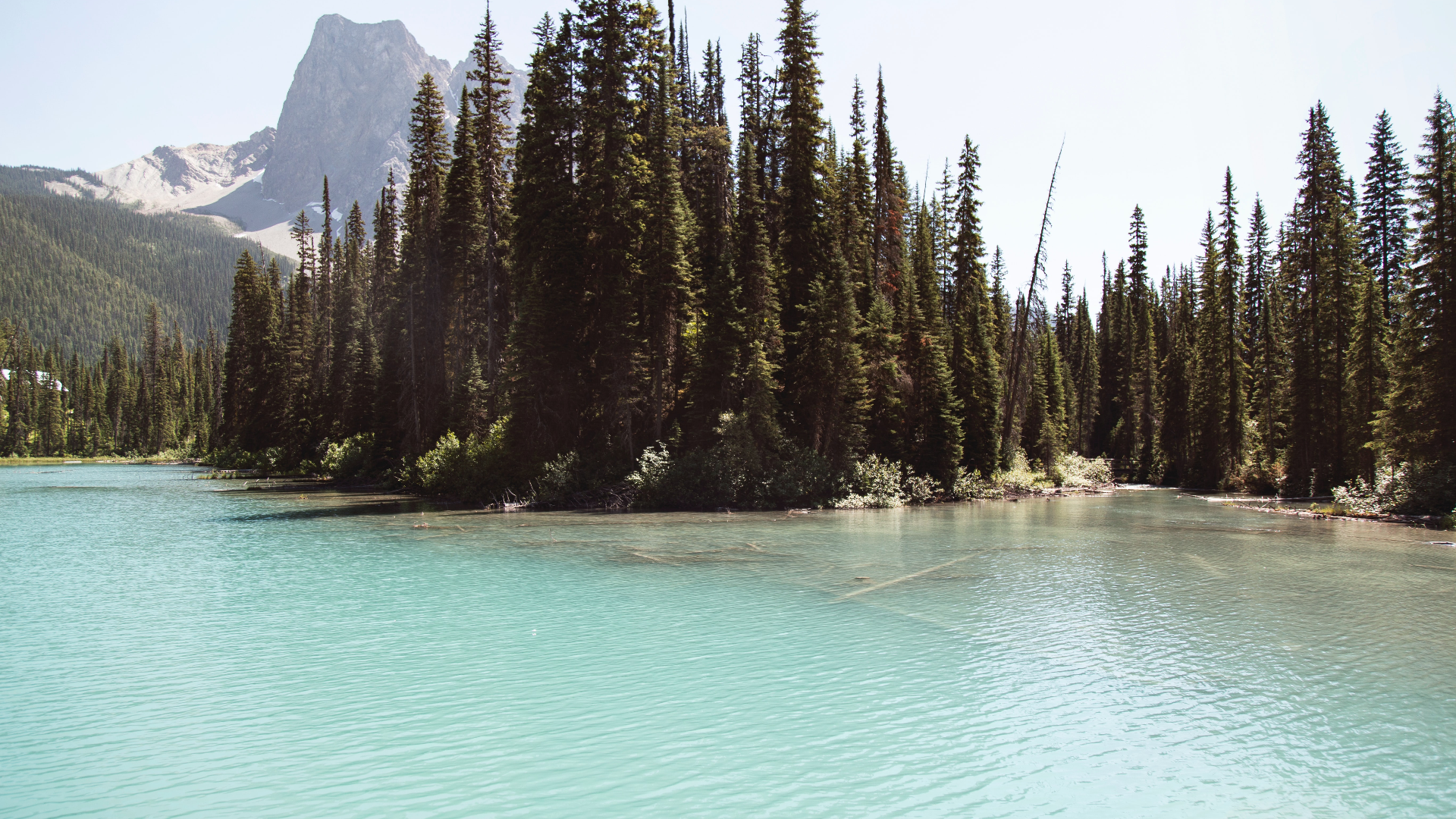 Nature Landscape Water Trees Forest Dead Trees Mountains Sky Water Ripples Emerald Lake Banff Canada 1920x1080