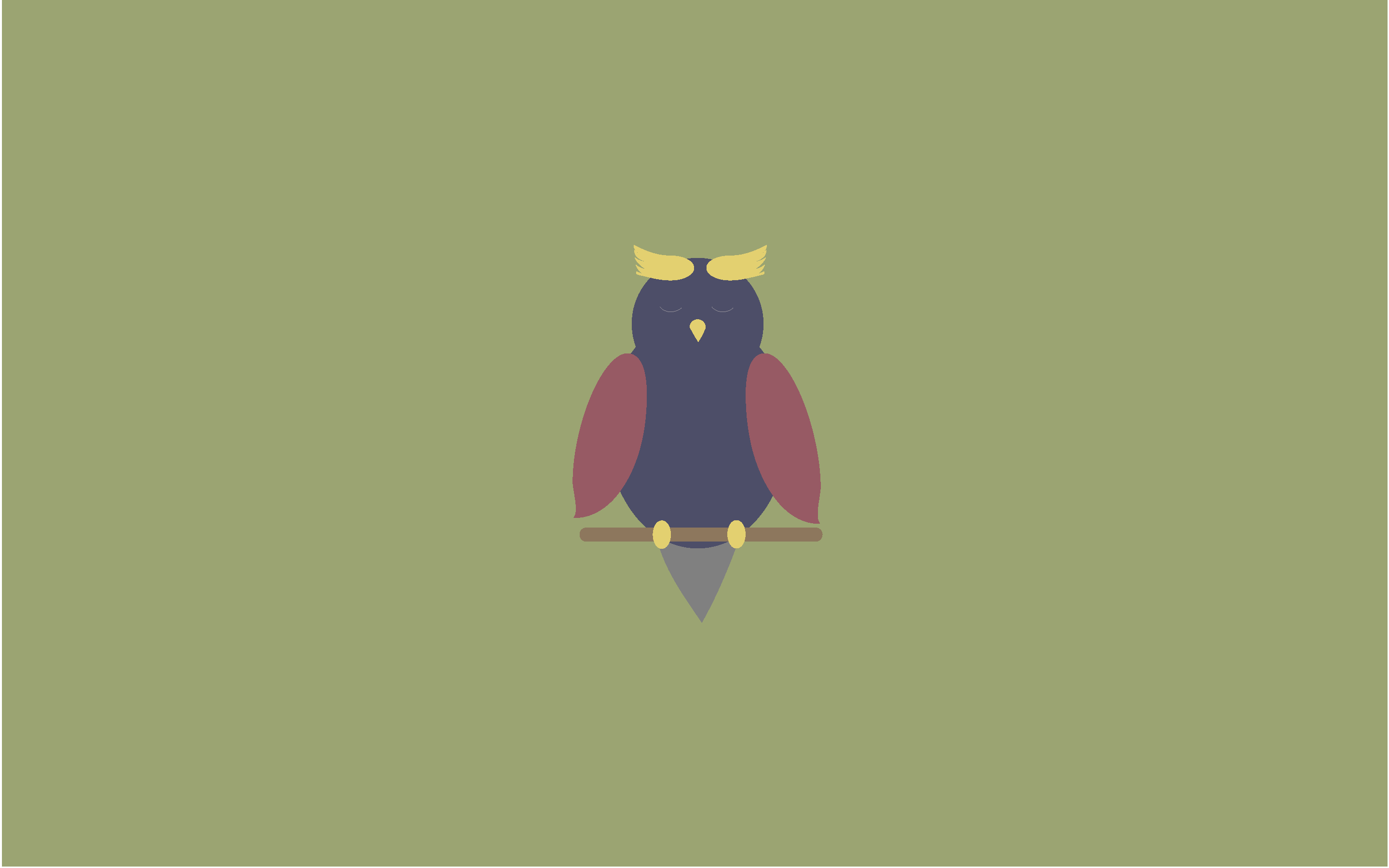 Minimalist Owl 2880x1800