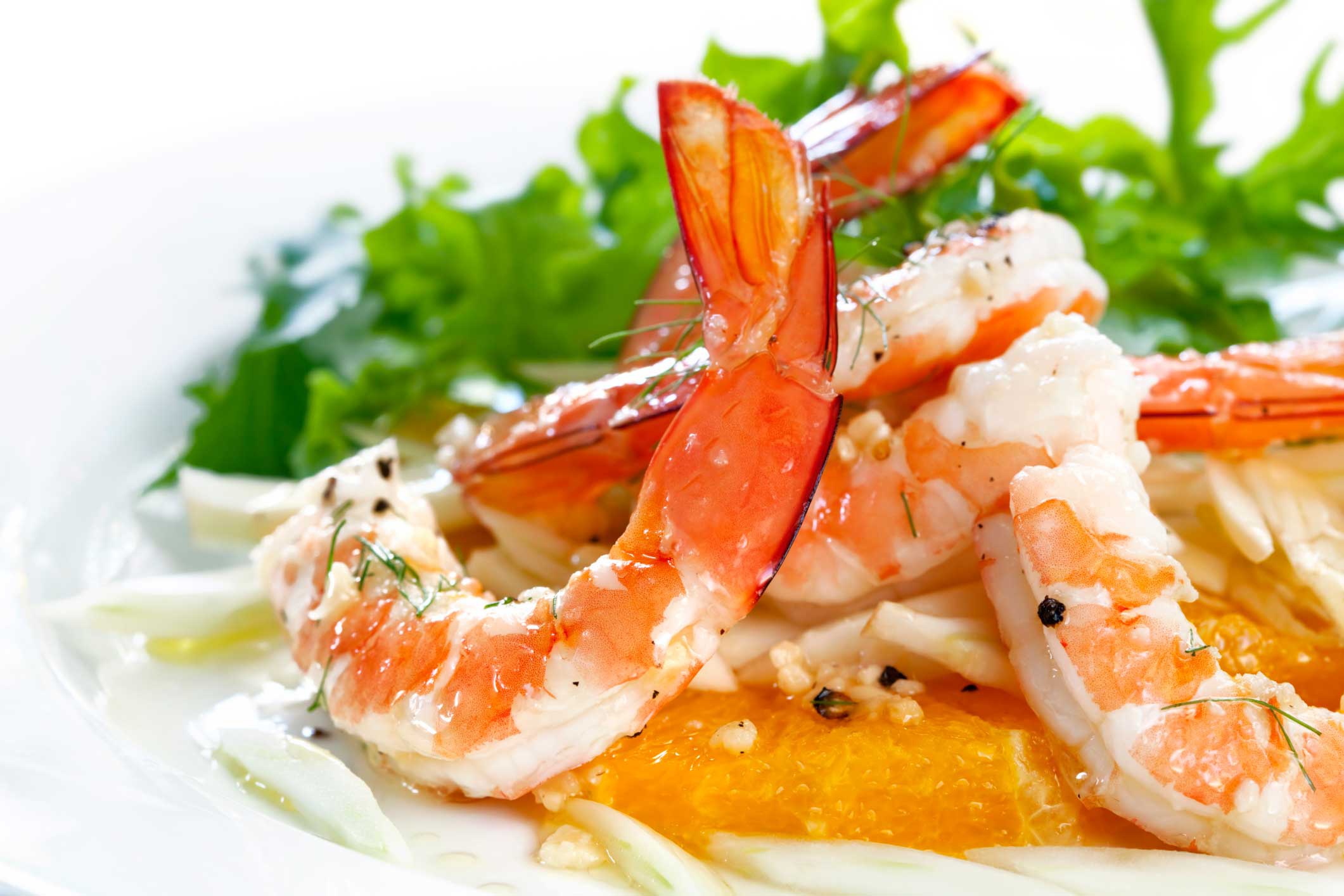 Seafood Shrimp 2121x1414