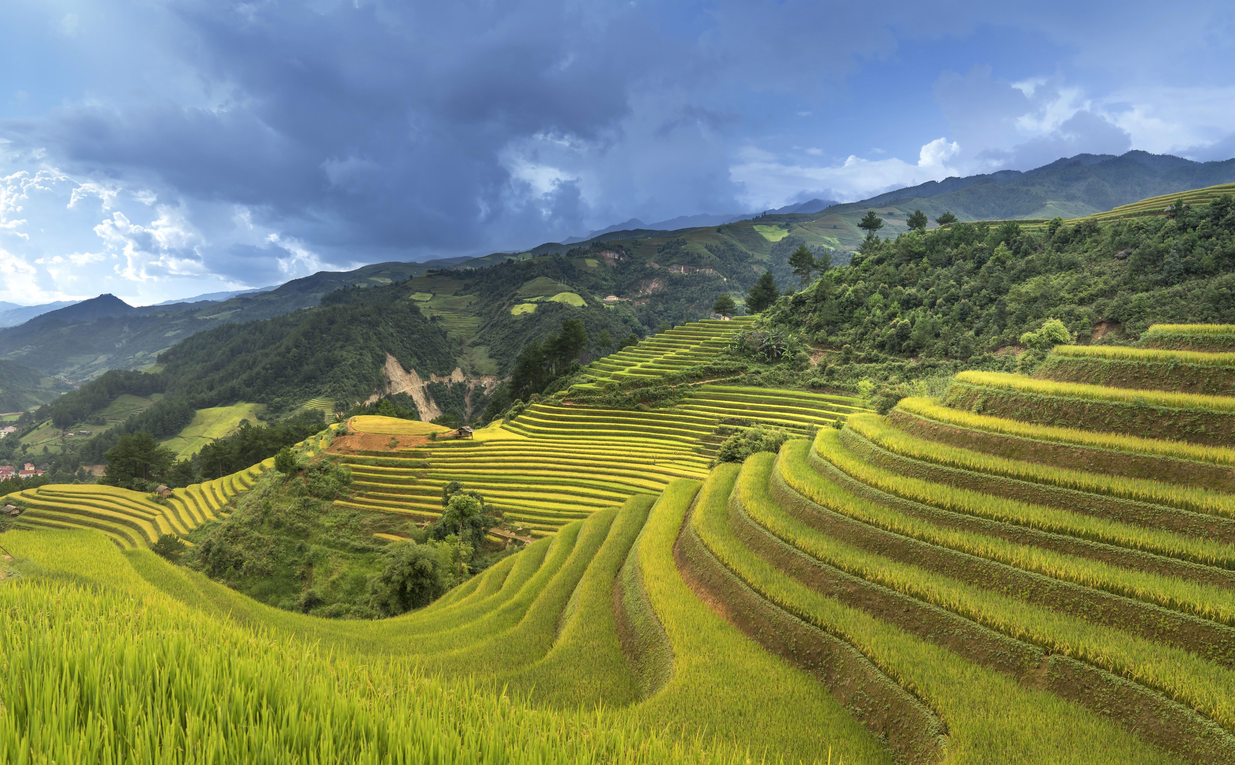 Landscape Nature Rice Terrace 5120x3172