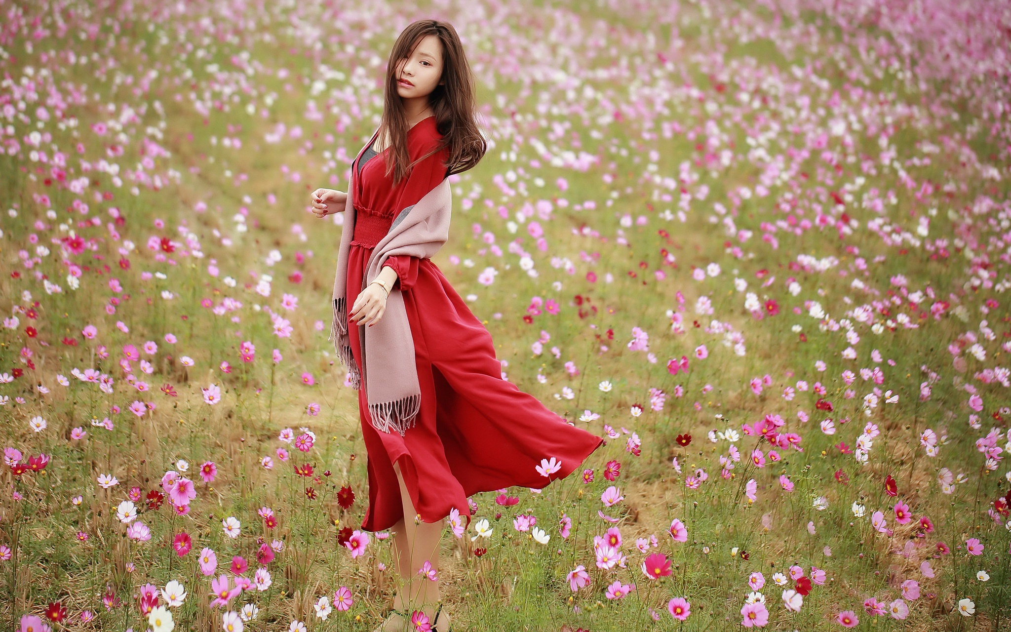 Asian Brunette Cosmos Flower Girl Model Red Dress Woman 2048x1280