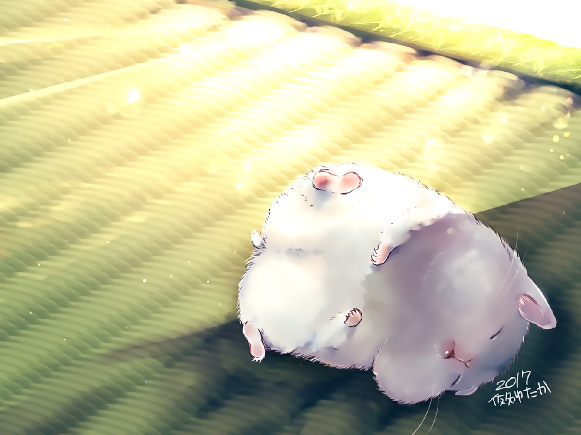 Cute Hamster Shadow Sunlight 1920x1440