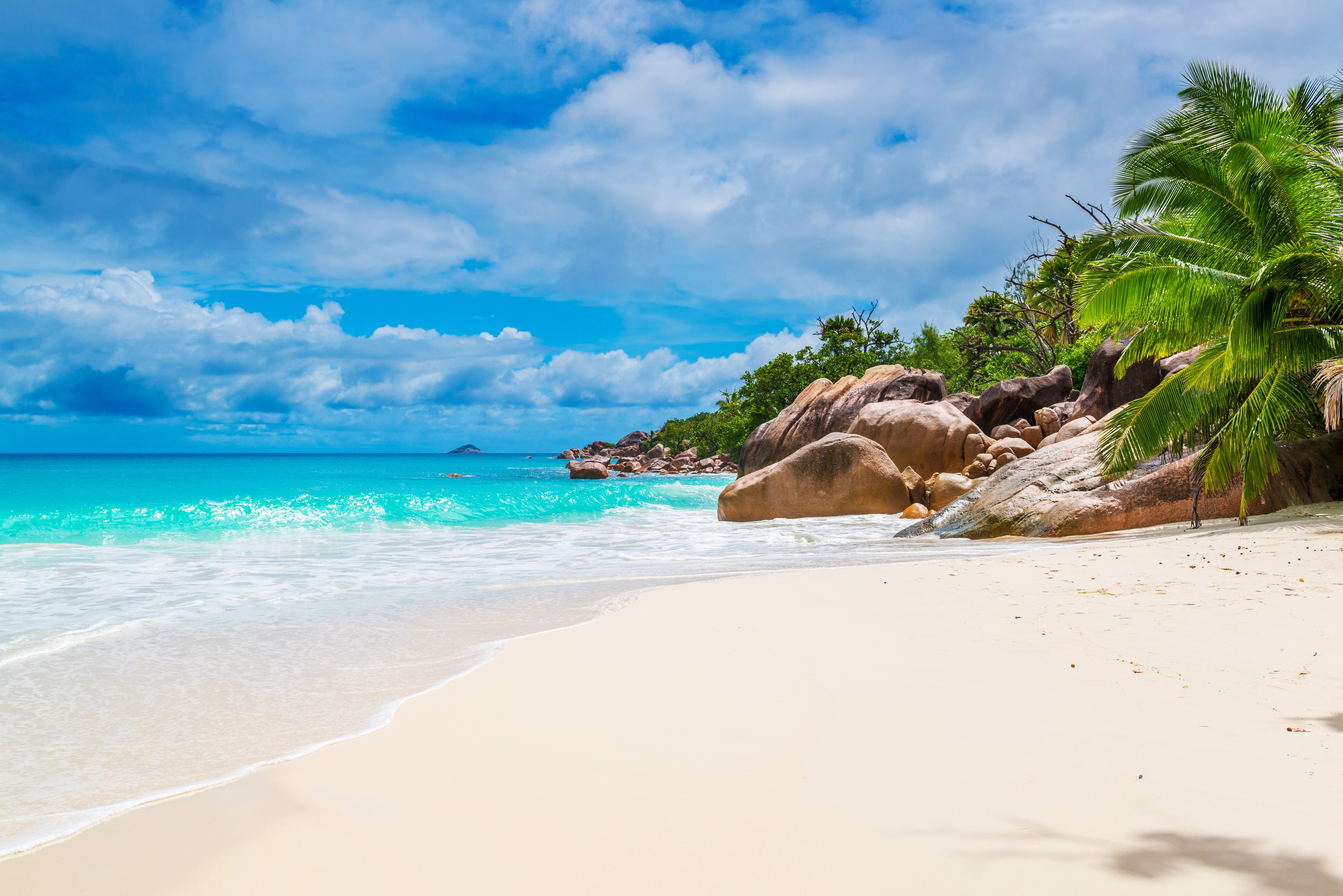 Beach Blue Coast Maldives Ocean Palm Tree Rock Sand Seychelles Sky Tropical Turquoise 6605x4408
