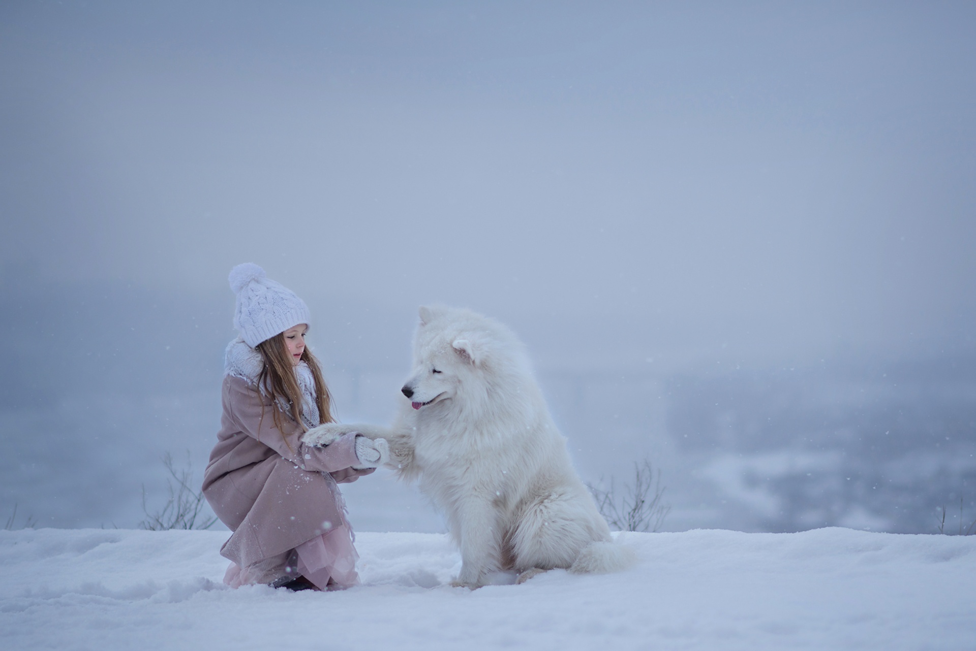 Child Depth Of Field Dog Girl Hat Little Girl Pet Samoyed Snow Winter 1920x1282