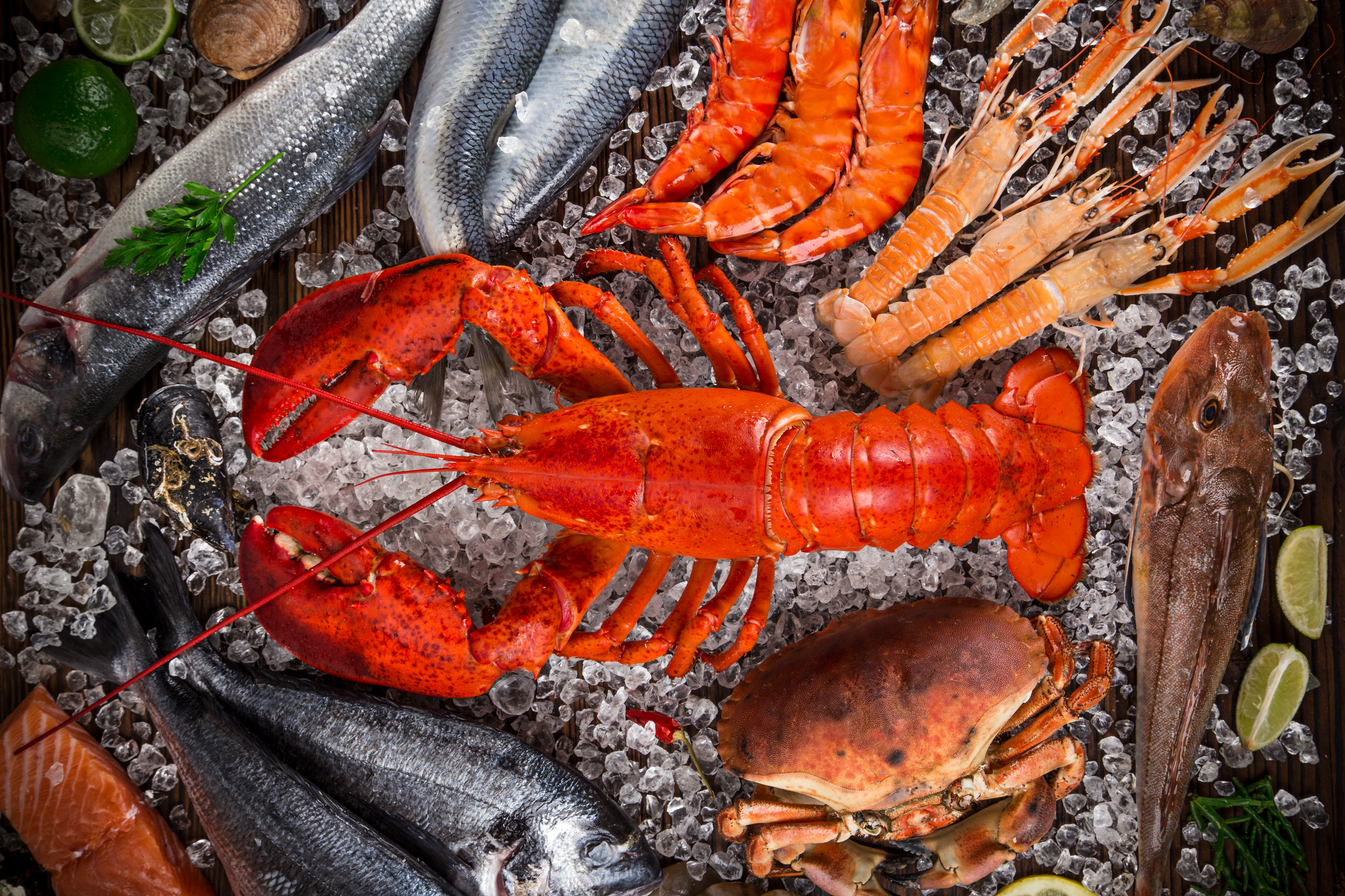 Crab Crayfish Fish Lobster Seafood Still Life 5472x3648