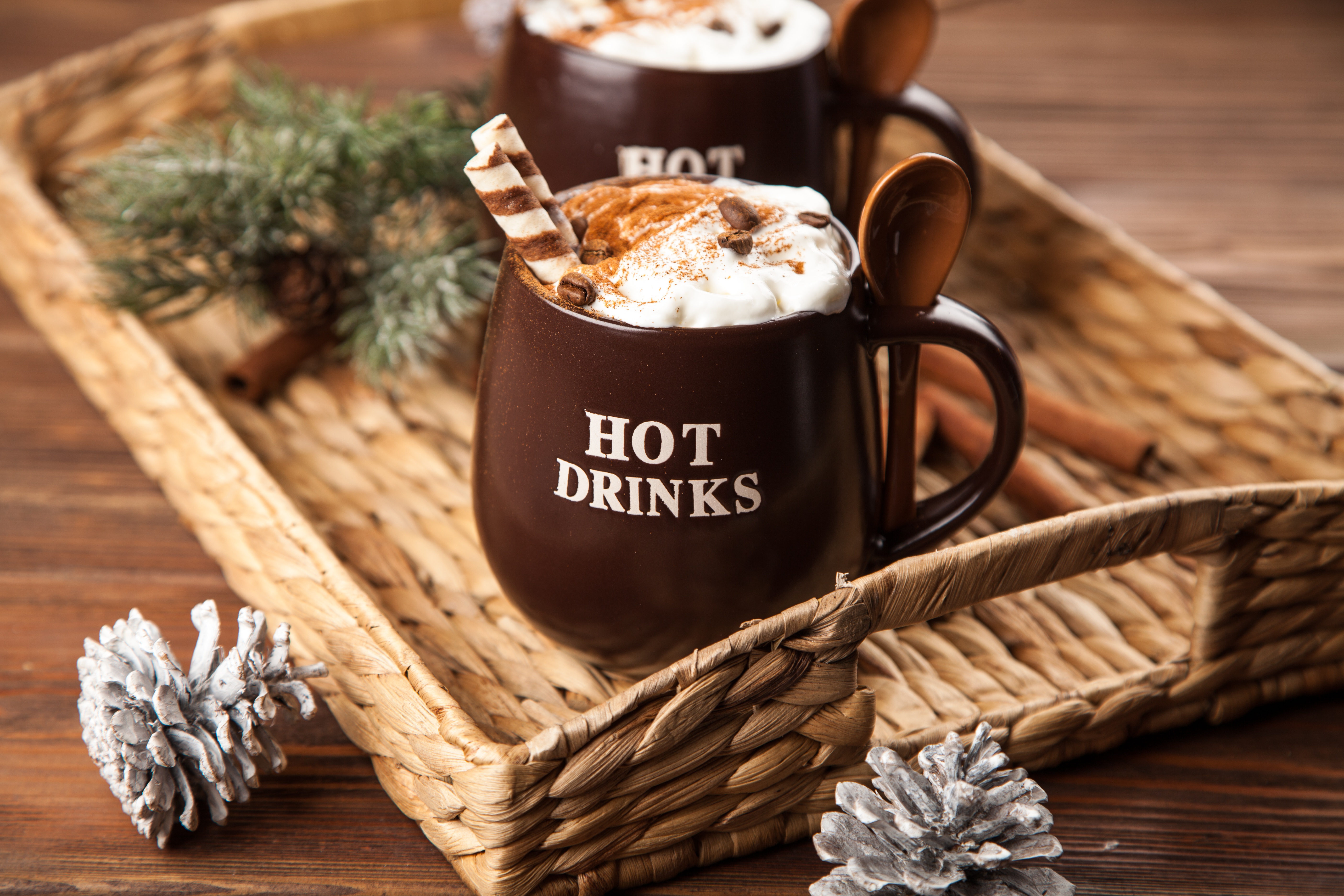 Cup Drink Hot Chocolate Still Life 5616x3744