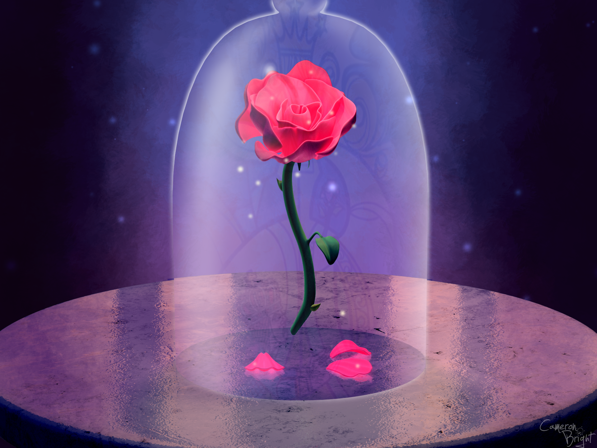 Beauty And The Beast Movie Pink Pink Rose Rose 1920x1440