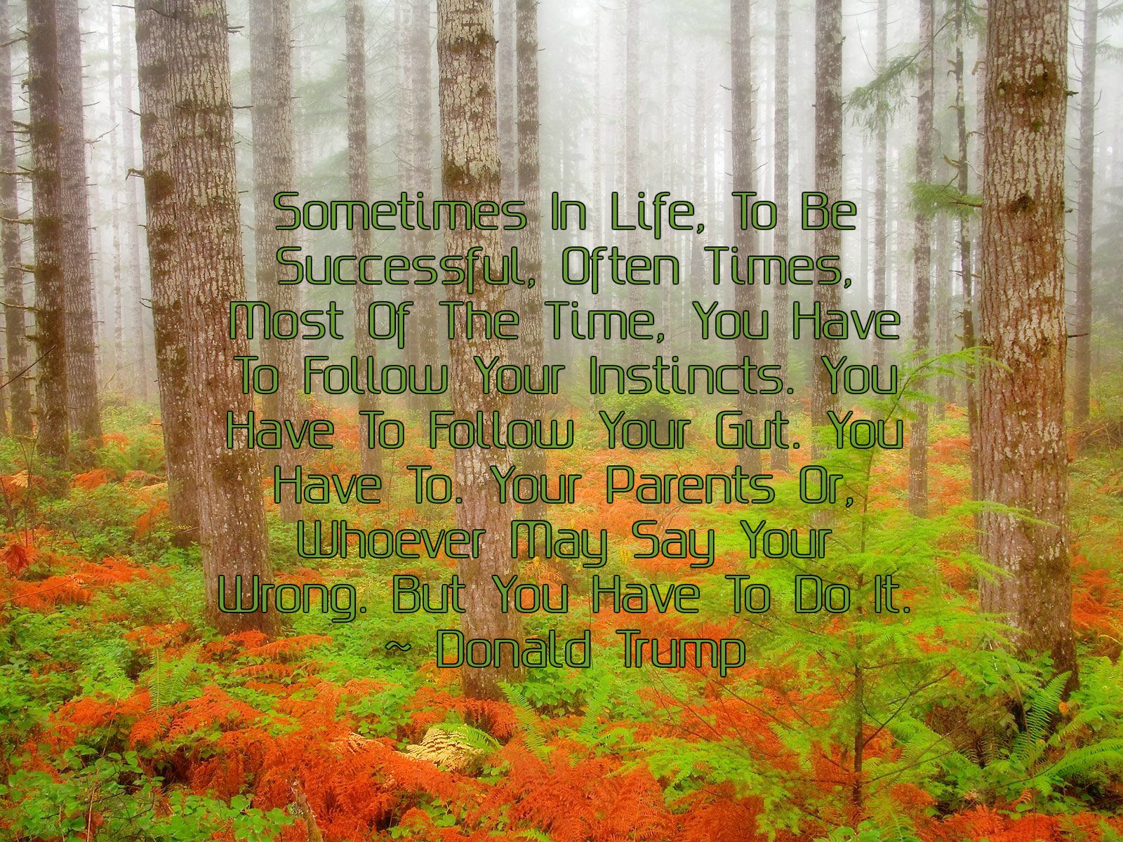 Forest Quote 1600x1200