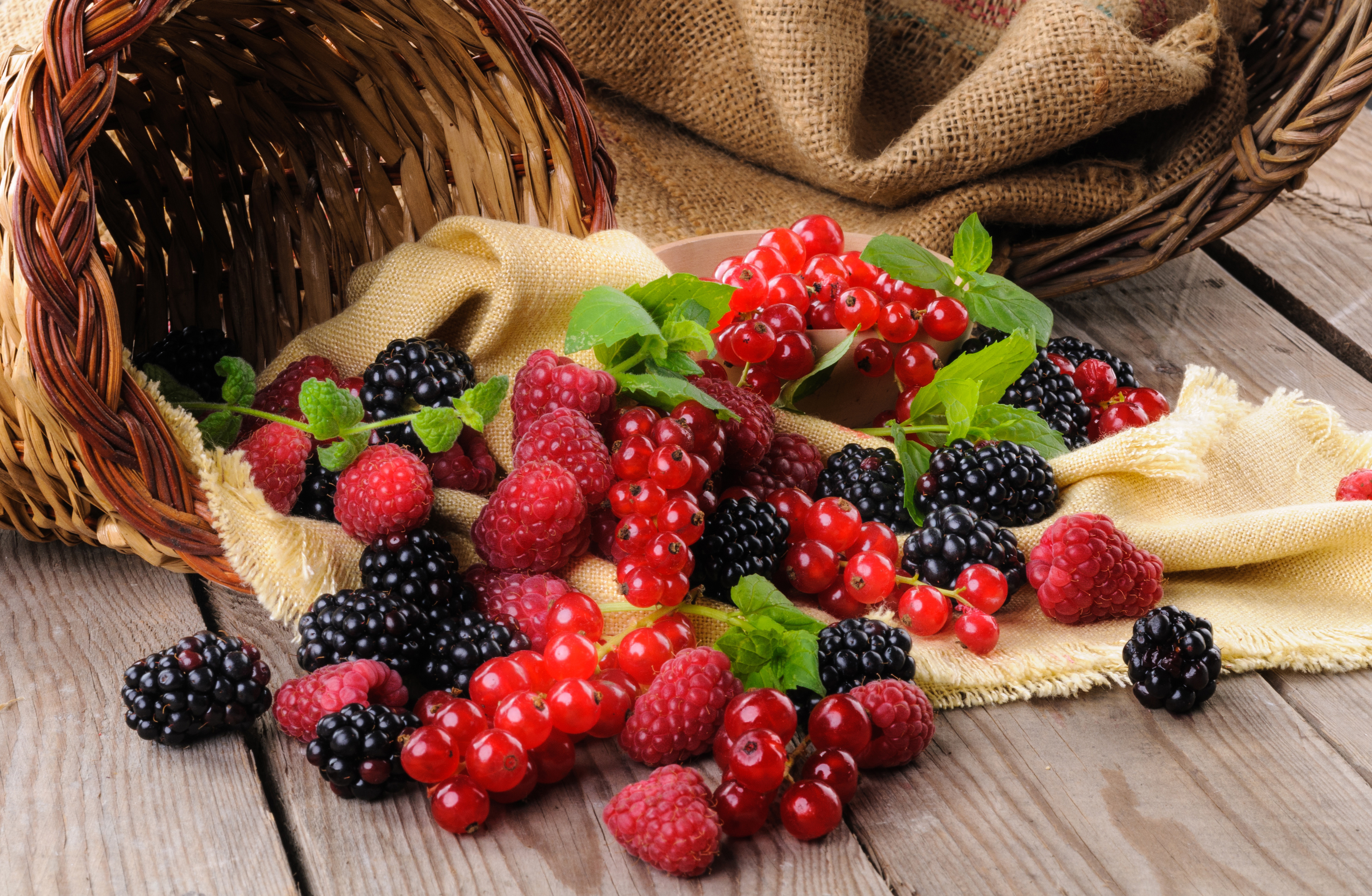 Berry Blackberry Currants Fruit Raspberry Still Life 4084x2668