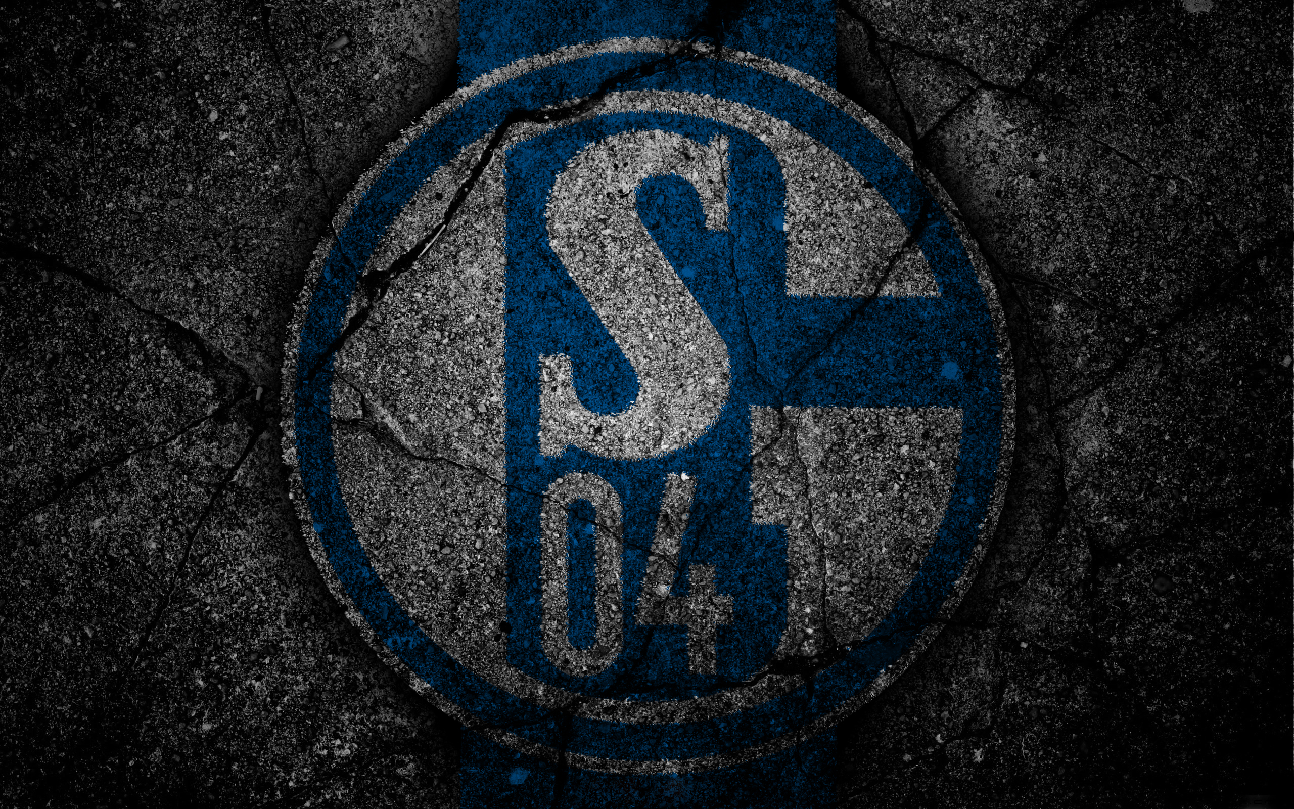 Fc Schalke 04 Logo Soccer 2560x1600