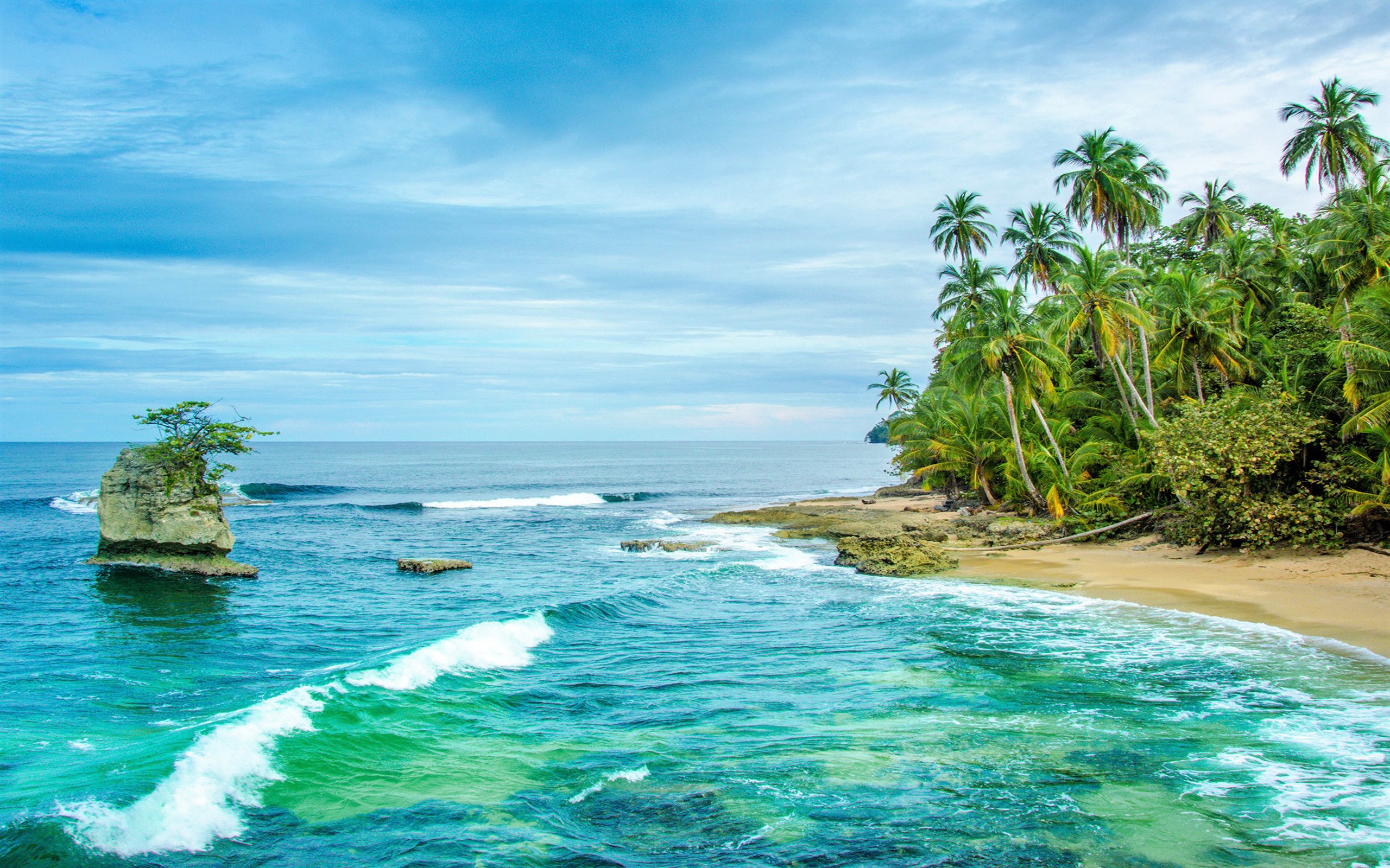 Beach Costa Rica Horizon Ocean Palm Tree Rock Sea Tree Tropical 2560x1600