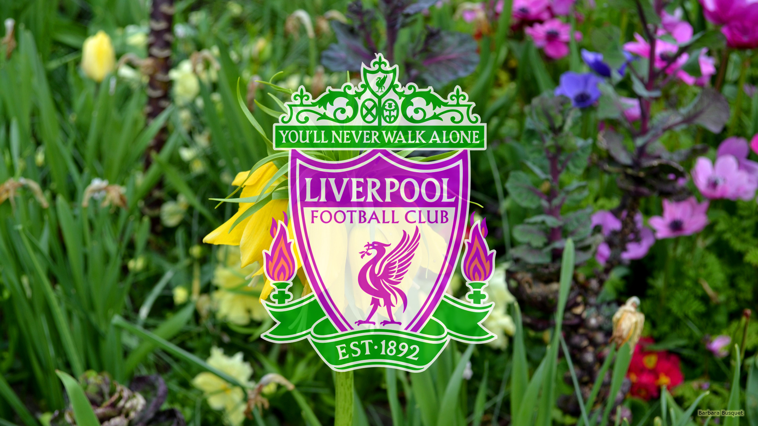 Emblem Liverpool F C Logo Soccer 2560x1440