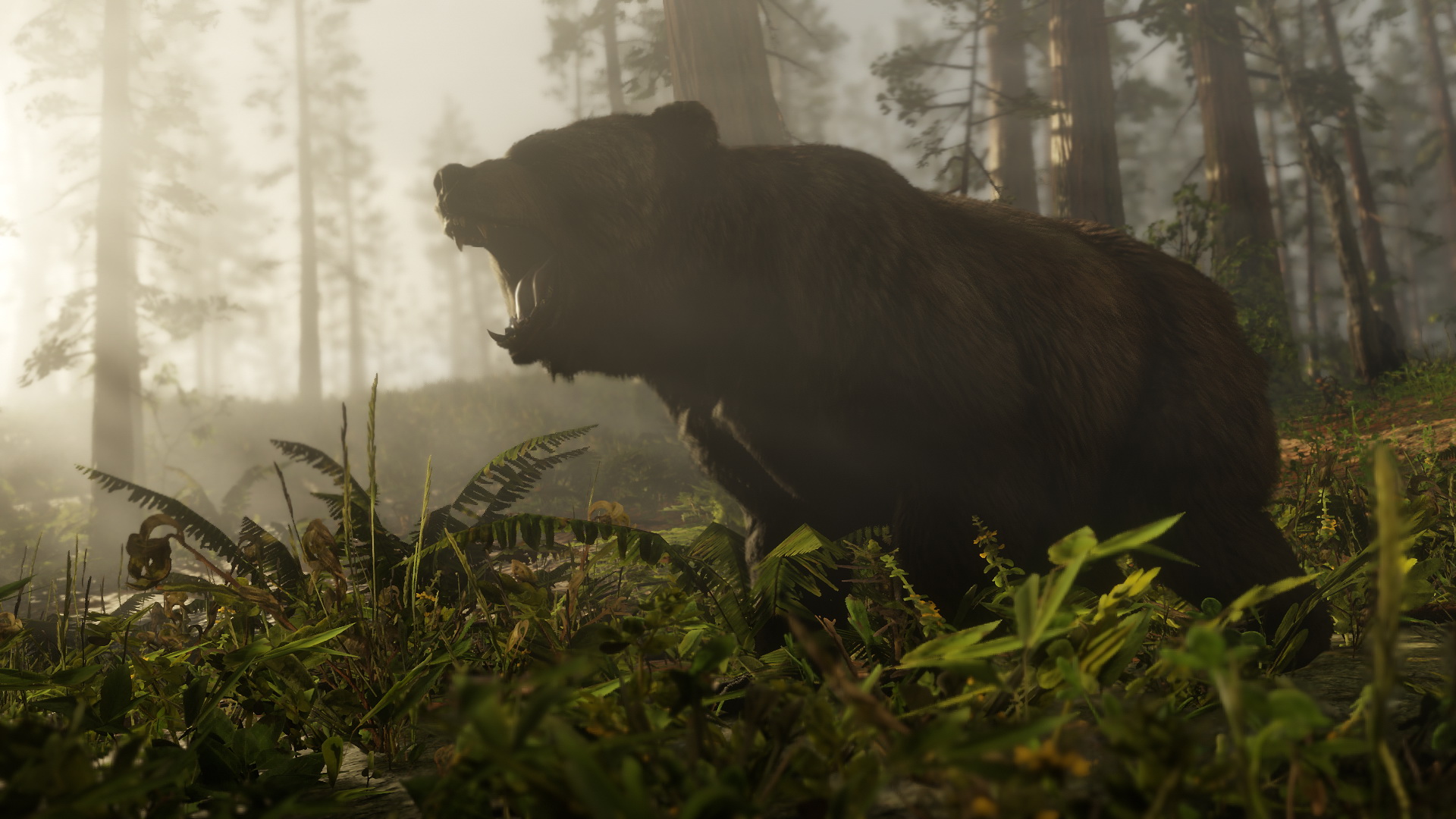 Bear Red Dead Red Dead Redemption Red Dead Redemption 2 1920x1080